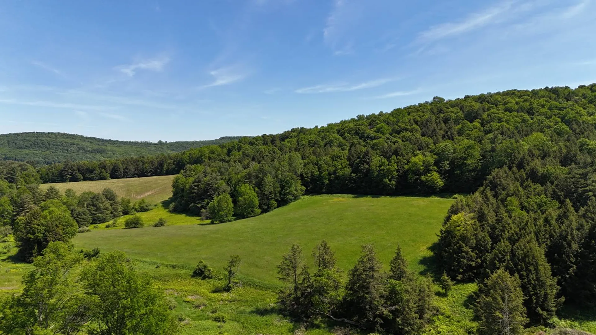 Property at 321 Panther Mt Rd, Richfield Springs, NY 13439 46