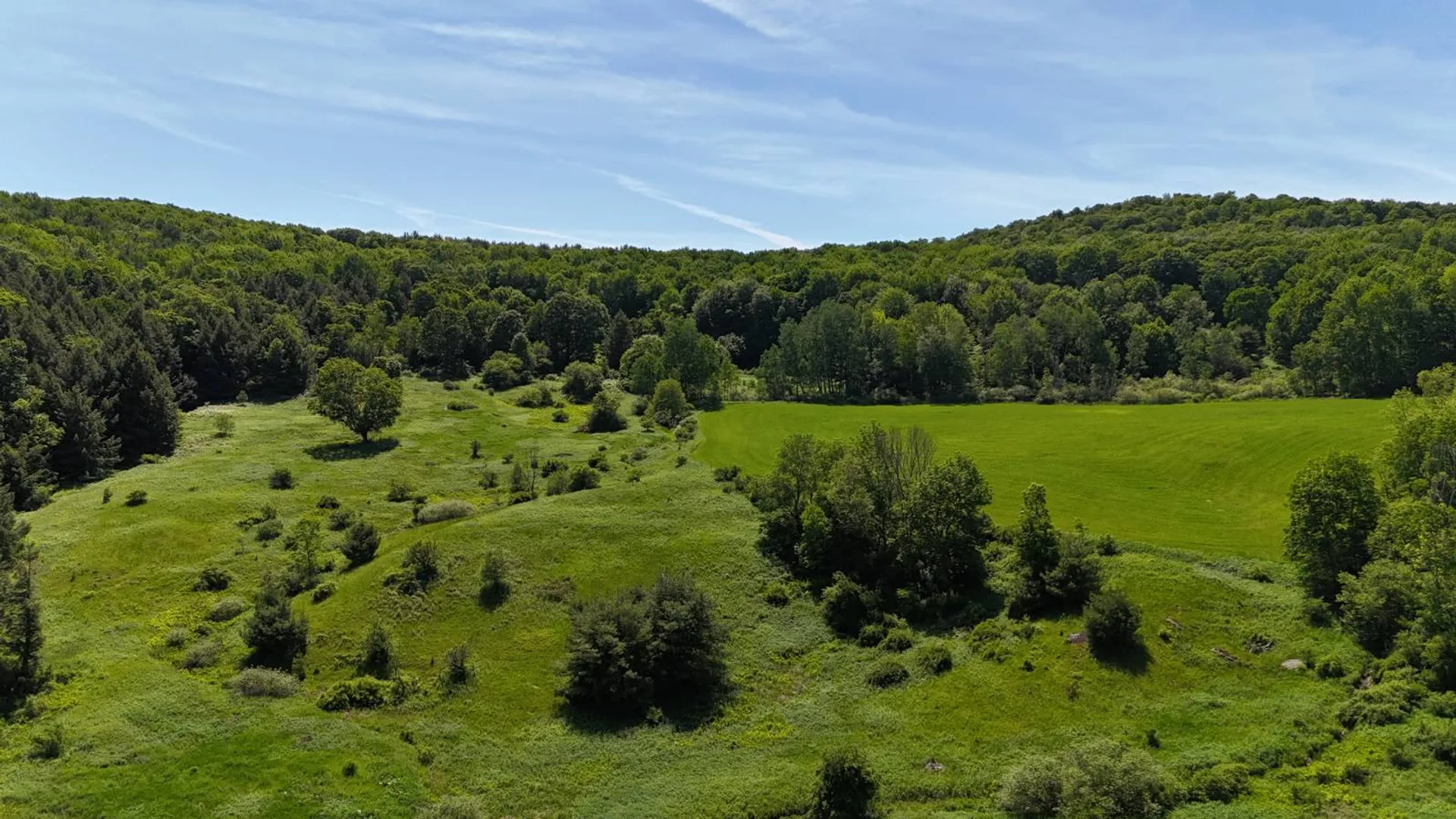 Property at 321 Panther Mt Rd, Richfield Springs, NY 13439 47