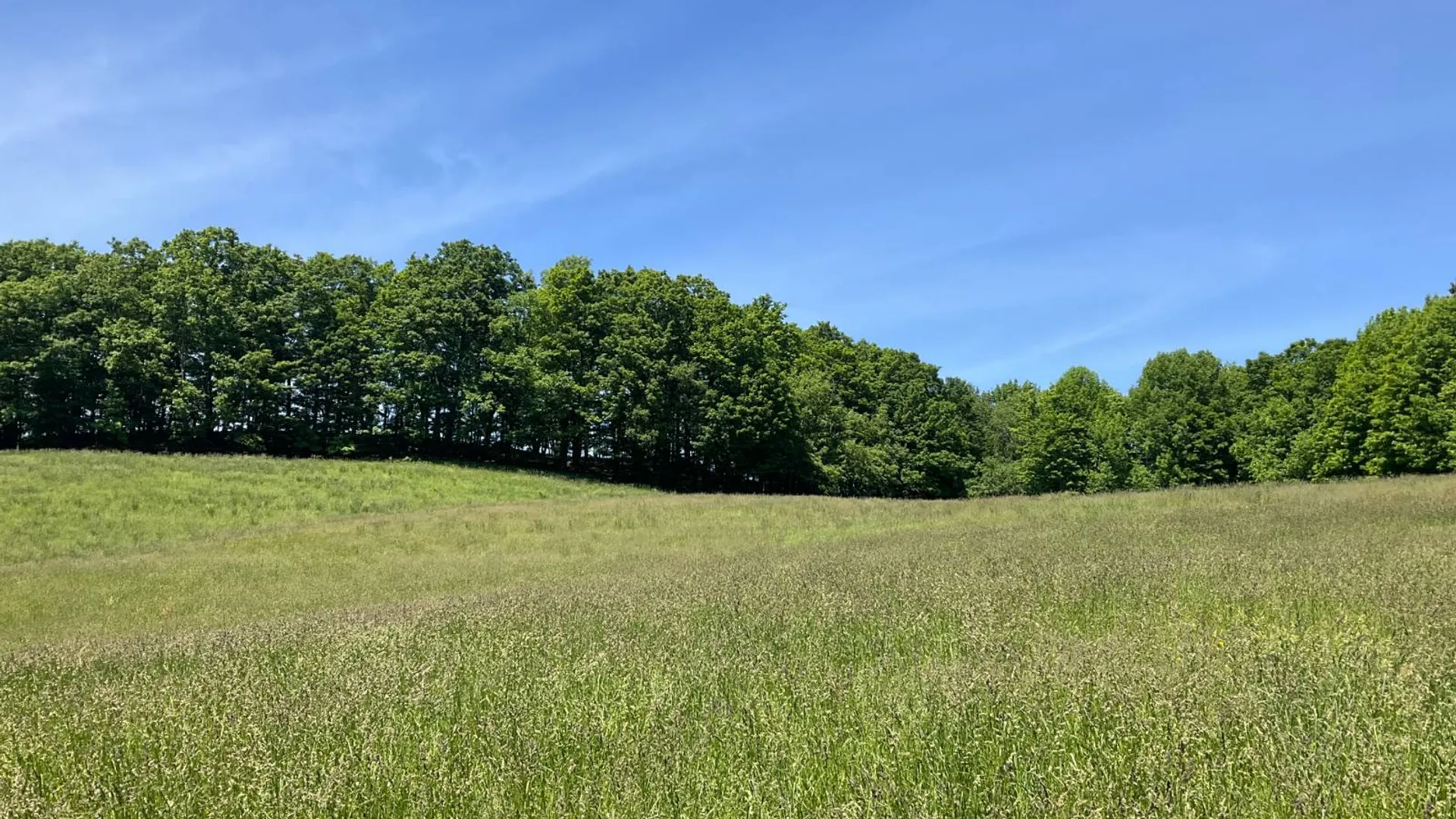 Property at 321 Panther Mt Rd, Richfield Springs, NY 13439 50