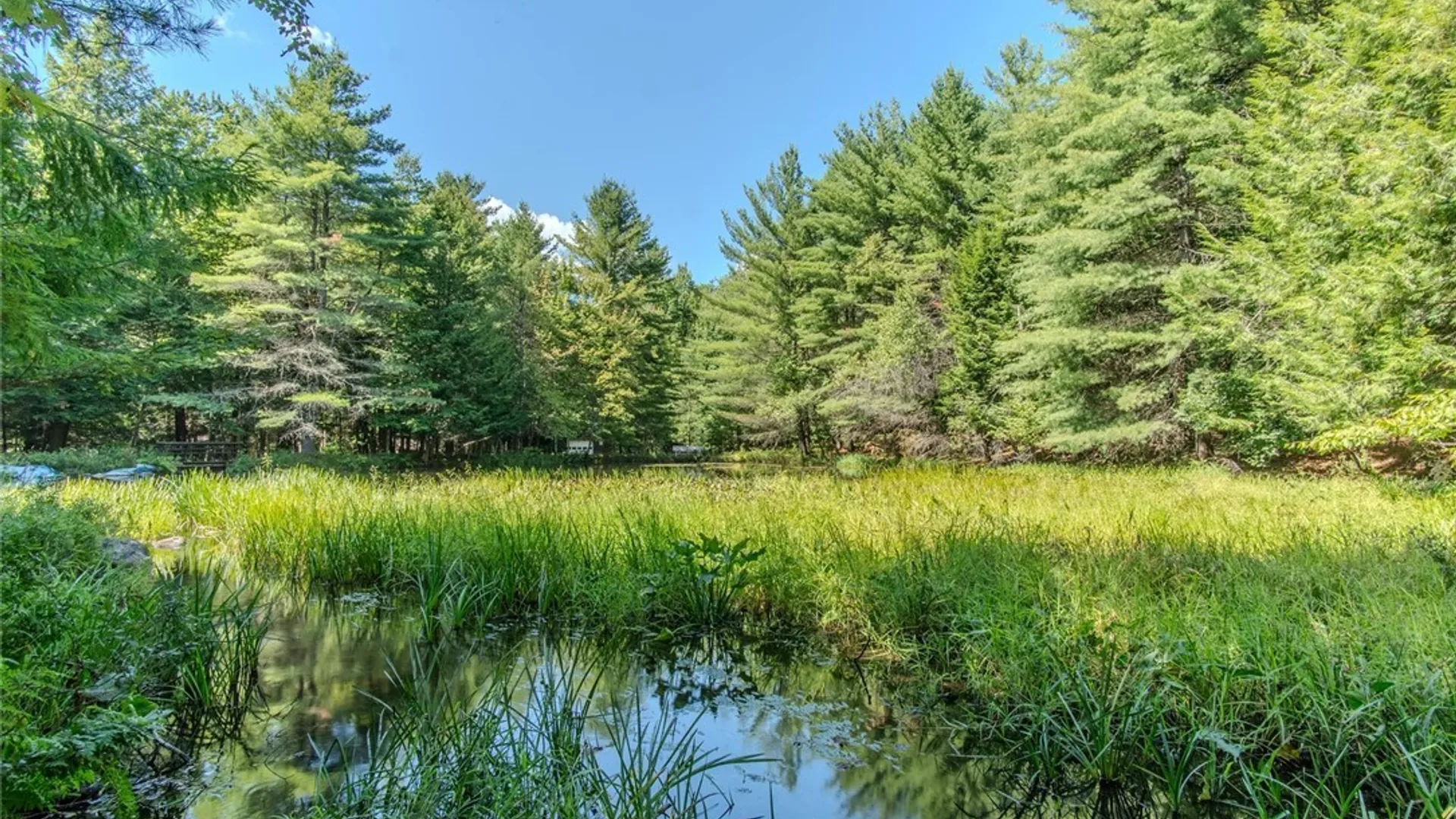 Property at 6443 Lingerlong Pond Road, Watson, NY 13343 13