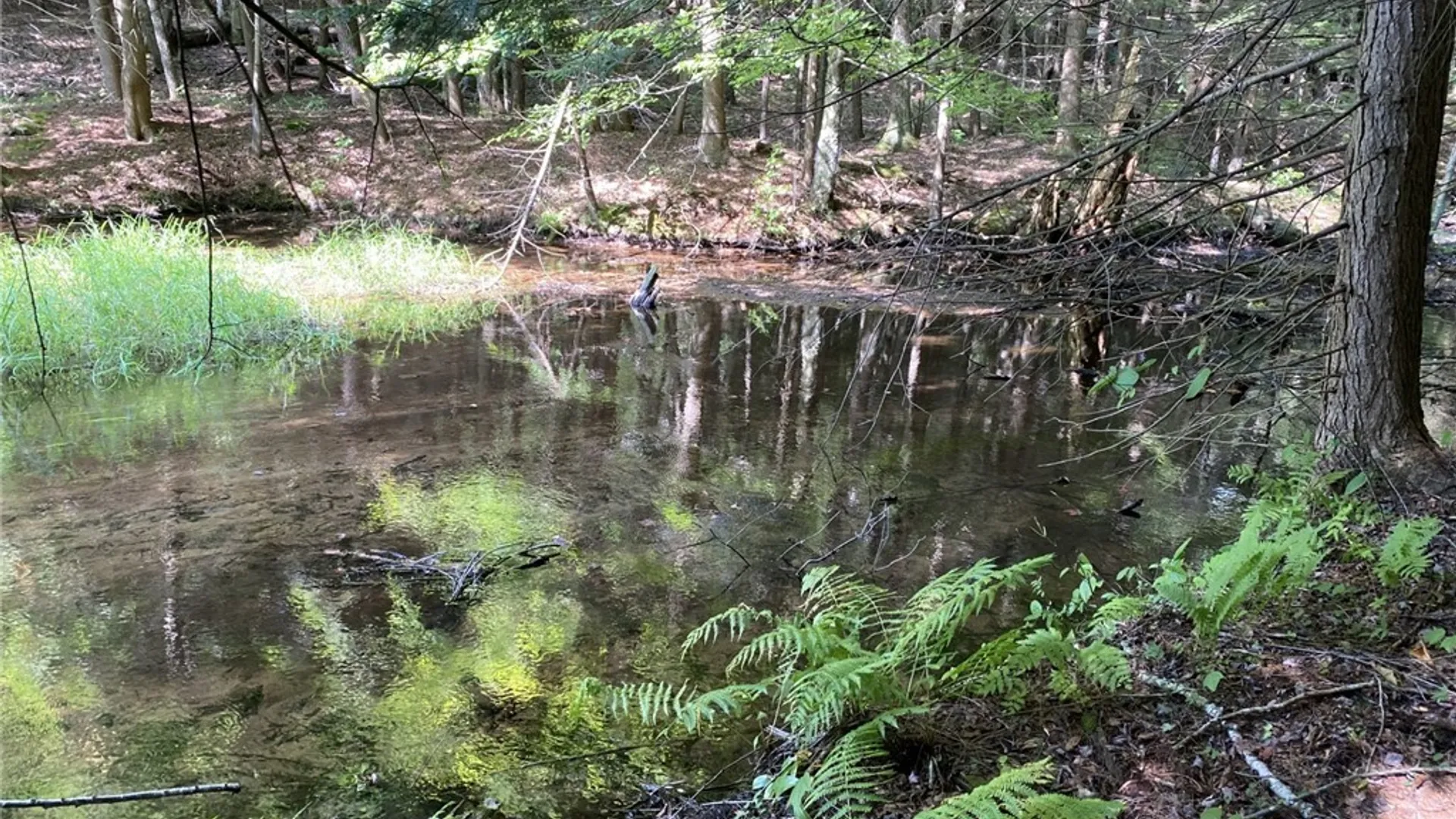 Property at 6443 Lingerlong Pond Road, Watson, NY 13343 40