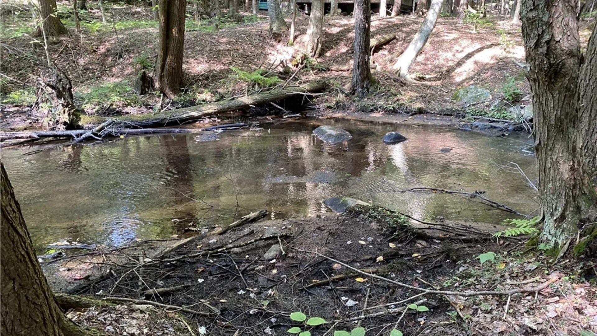 Property at 6443 Lingerlong Pond Road, Watson, NY 13343 41