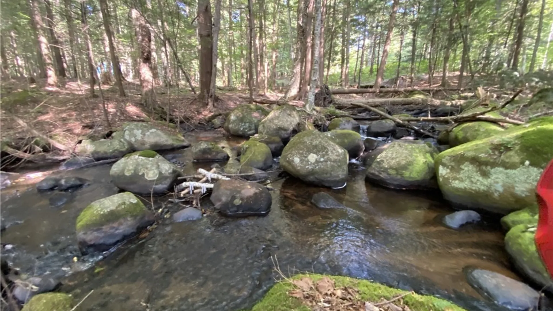 Property at 6443 Lingerlong Pond Road, Watson, NY 13343 42