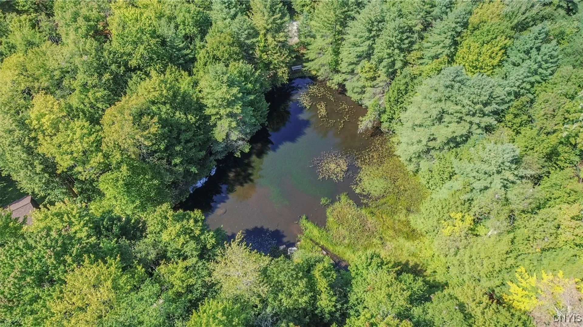 Property at 6443 Lingerlong Pond Road, Watson, NY 13343 44