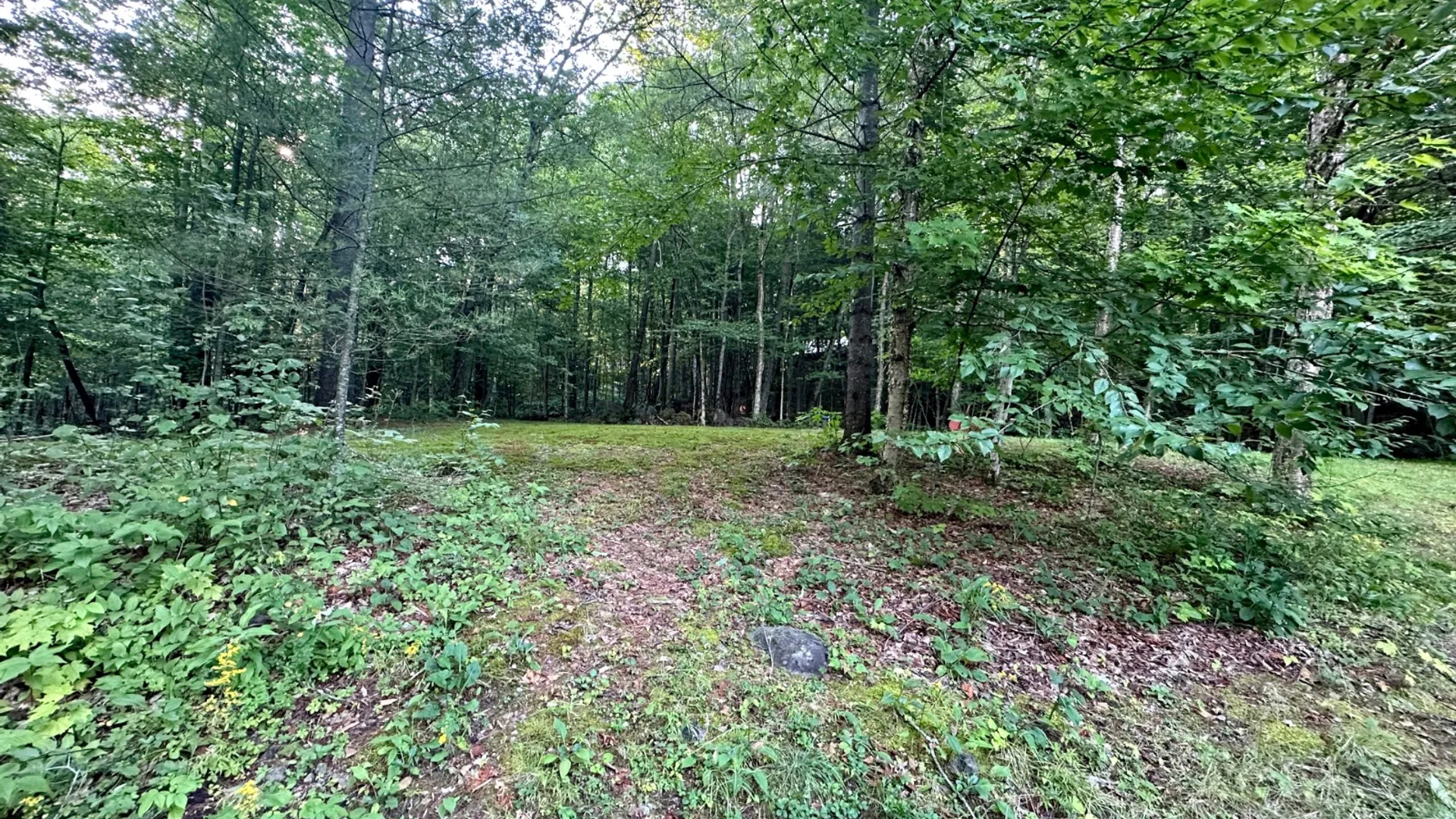 Property at 1878 NYS Route 8, Lake Pleasant, NY 12108 36