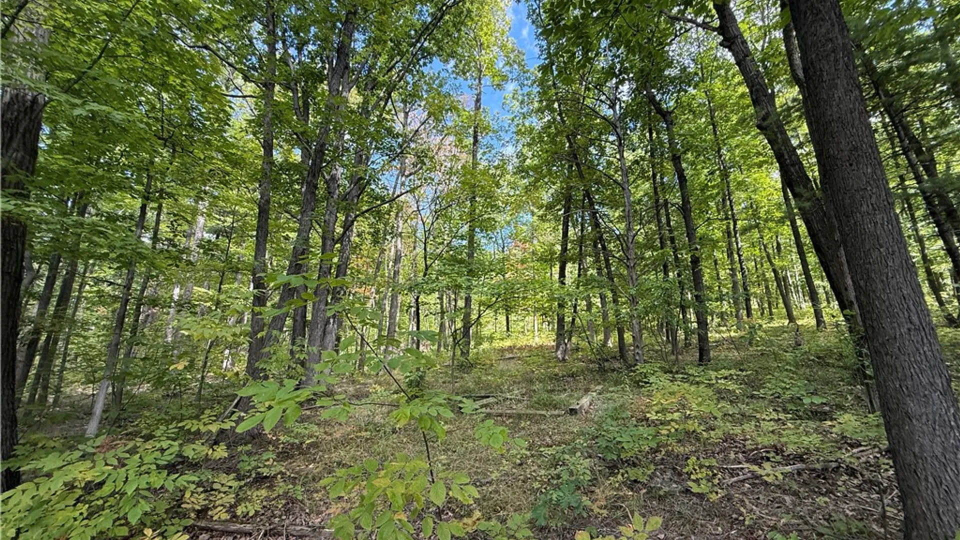Property at 6486 Dugway Road, Bristol, NY 14424 42