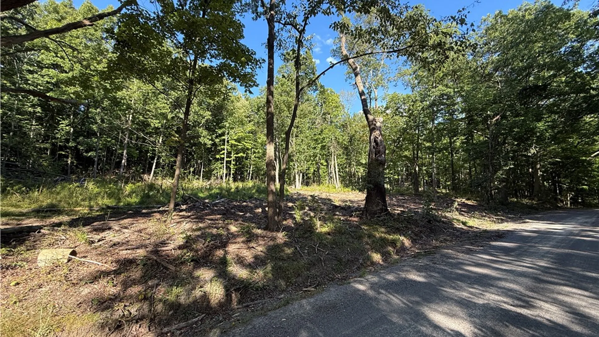 Property at 6486 Dugway Road, Bristol, NY 14424 44