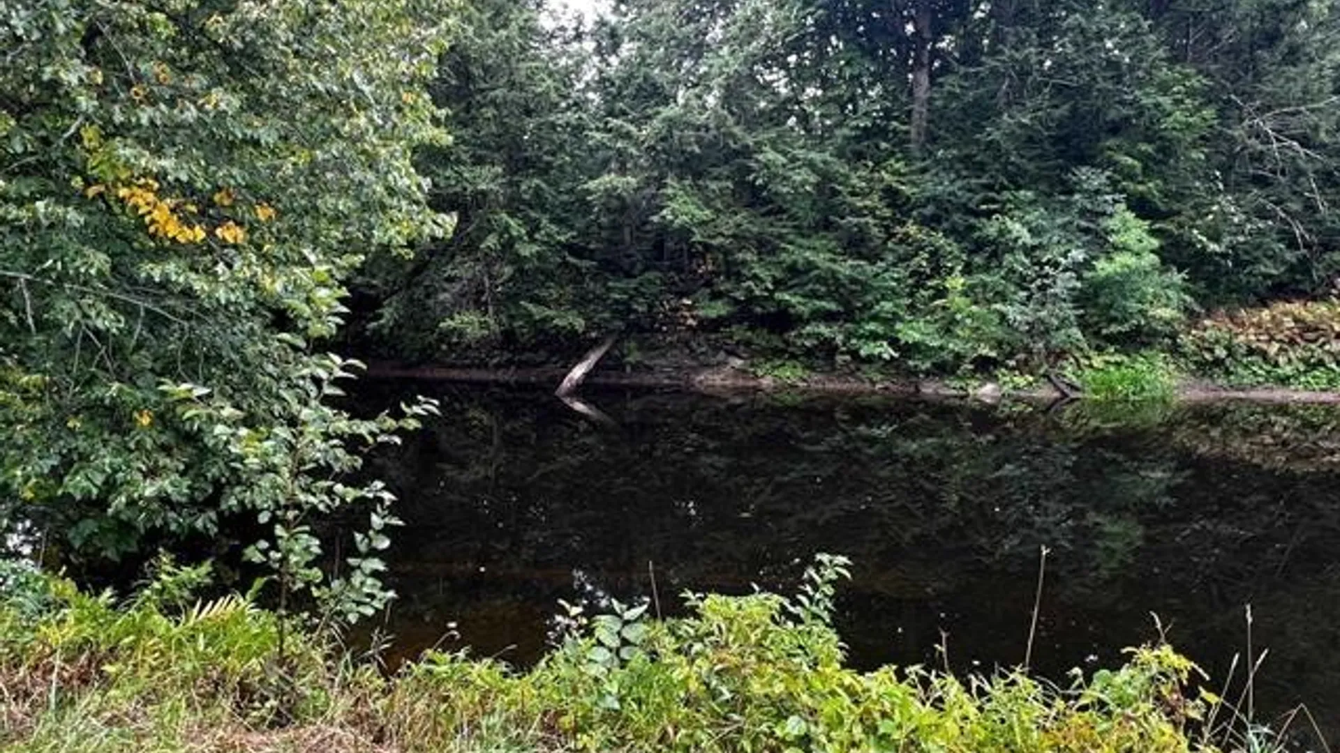 Property at 239 River Road, Fowler, NY 13642 25