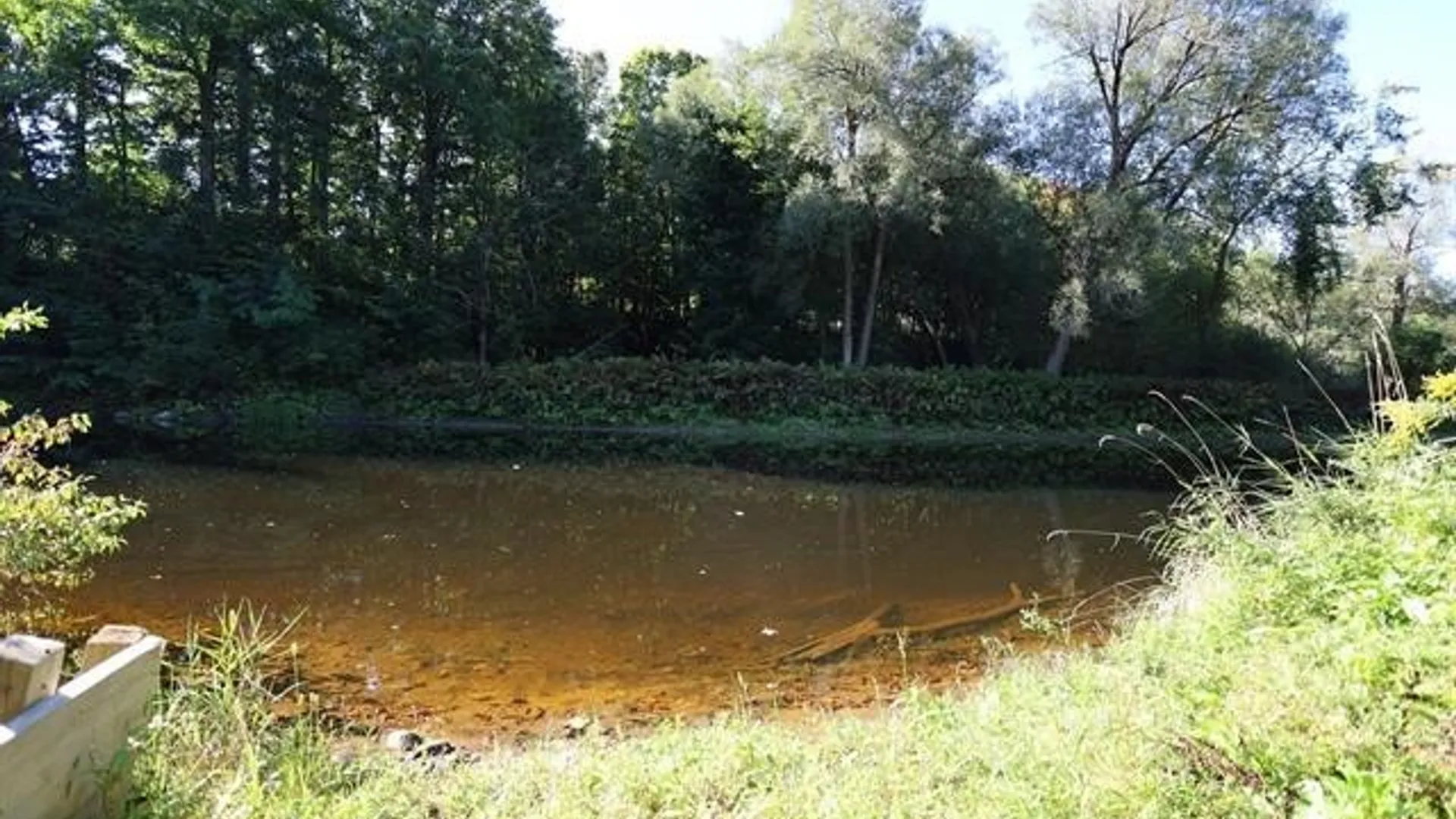 Property at 239 River Road, Fowler, NY 13642 27