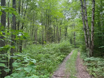 Property at Lot 10 Lee Rd, Florence, NY 13316