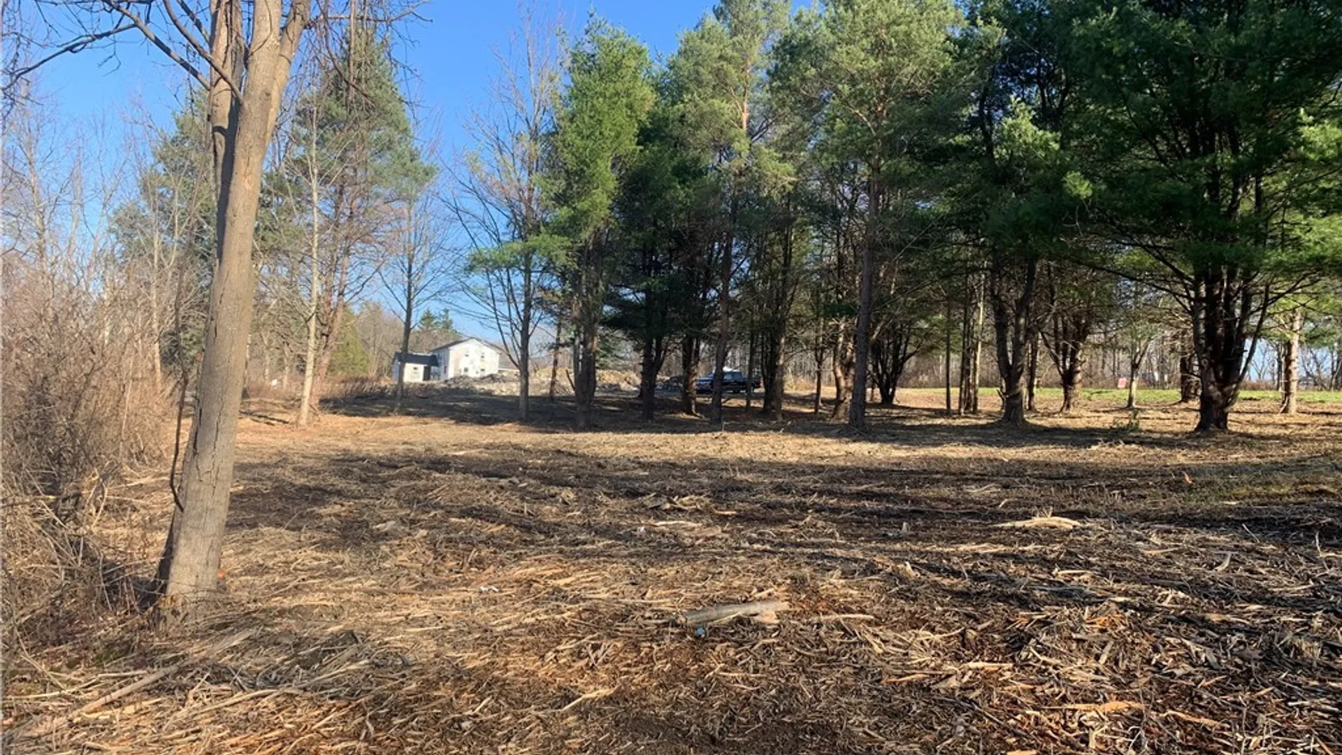 Property at 9164 Gowanda State Road, Eden, NY 14057 10