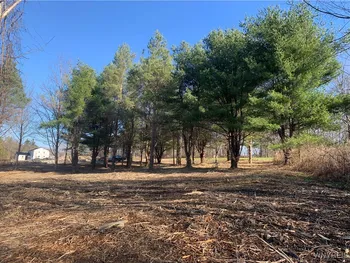 9164 Gowanda State Road, Eden, NY 14057