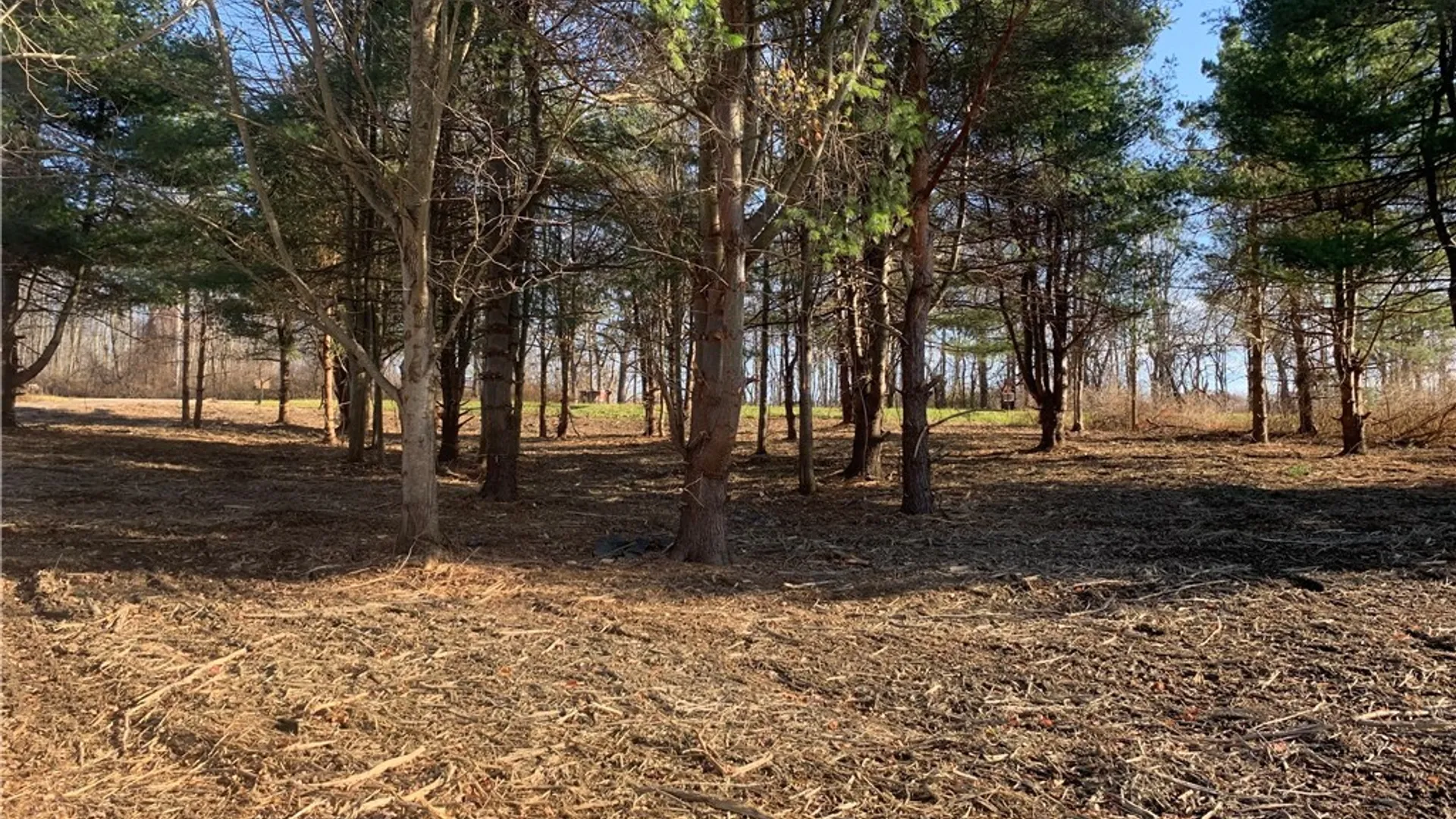 Property at 9164 Gowanda State Road, Eden, NY 14057 2