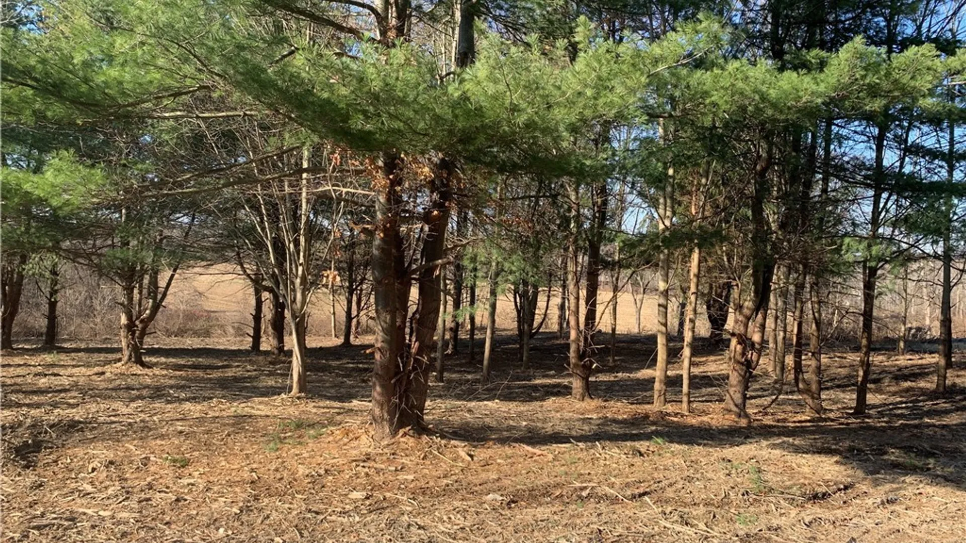 Property at 9164 Gowanda State Road, Eden, NY 14057 3