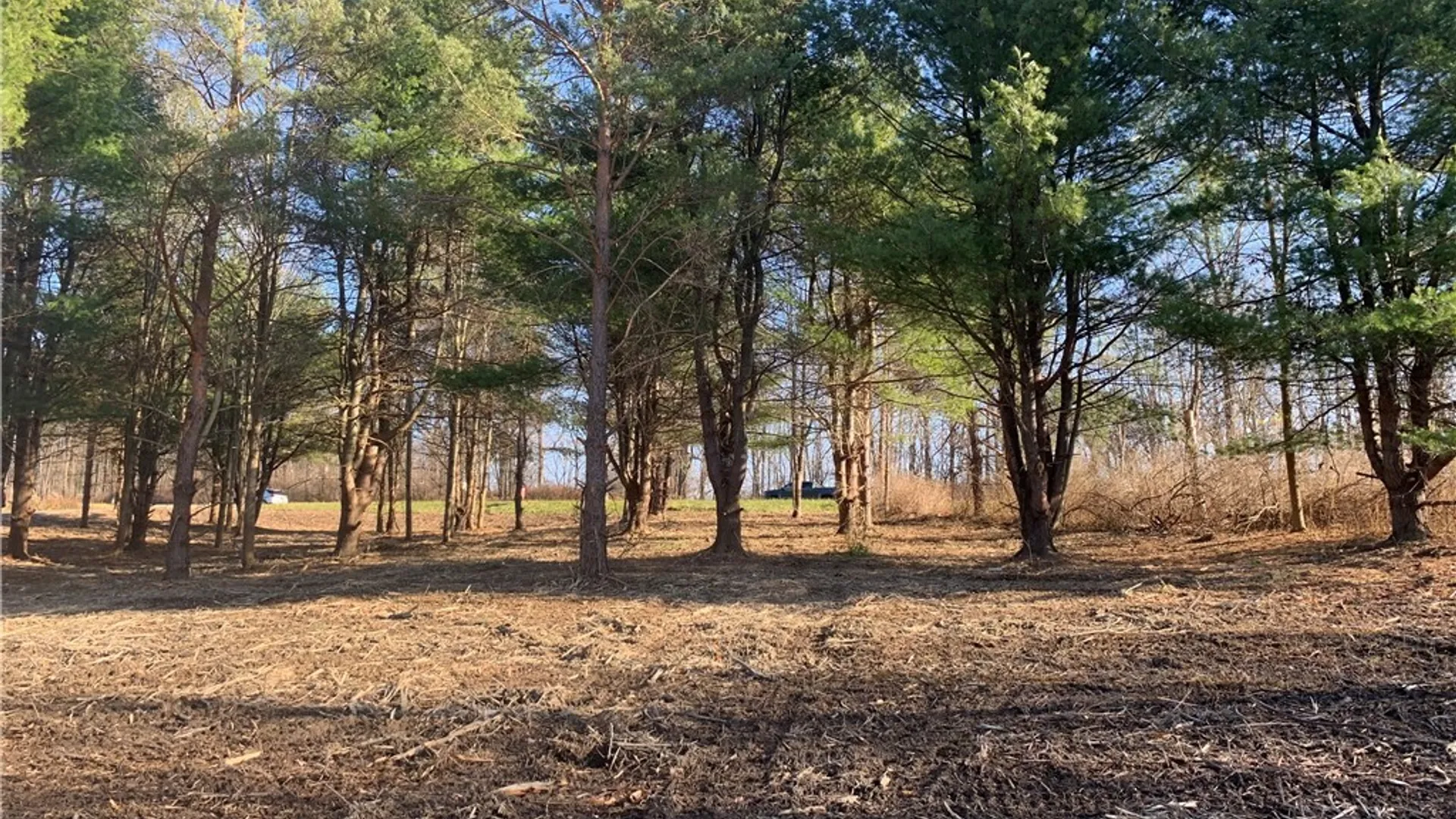 Property at 9164 Gowanda State Road, Eden, NY 14057 4