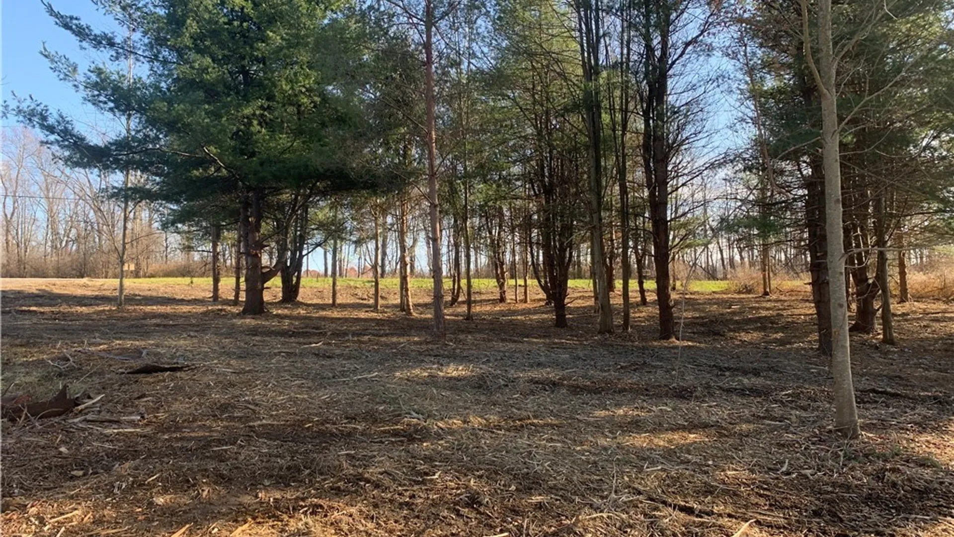 Property at 9164 Gowanda State Road, Eden, NY 14057 5