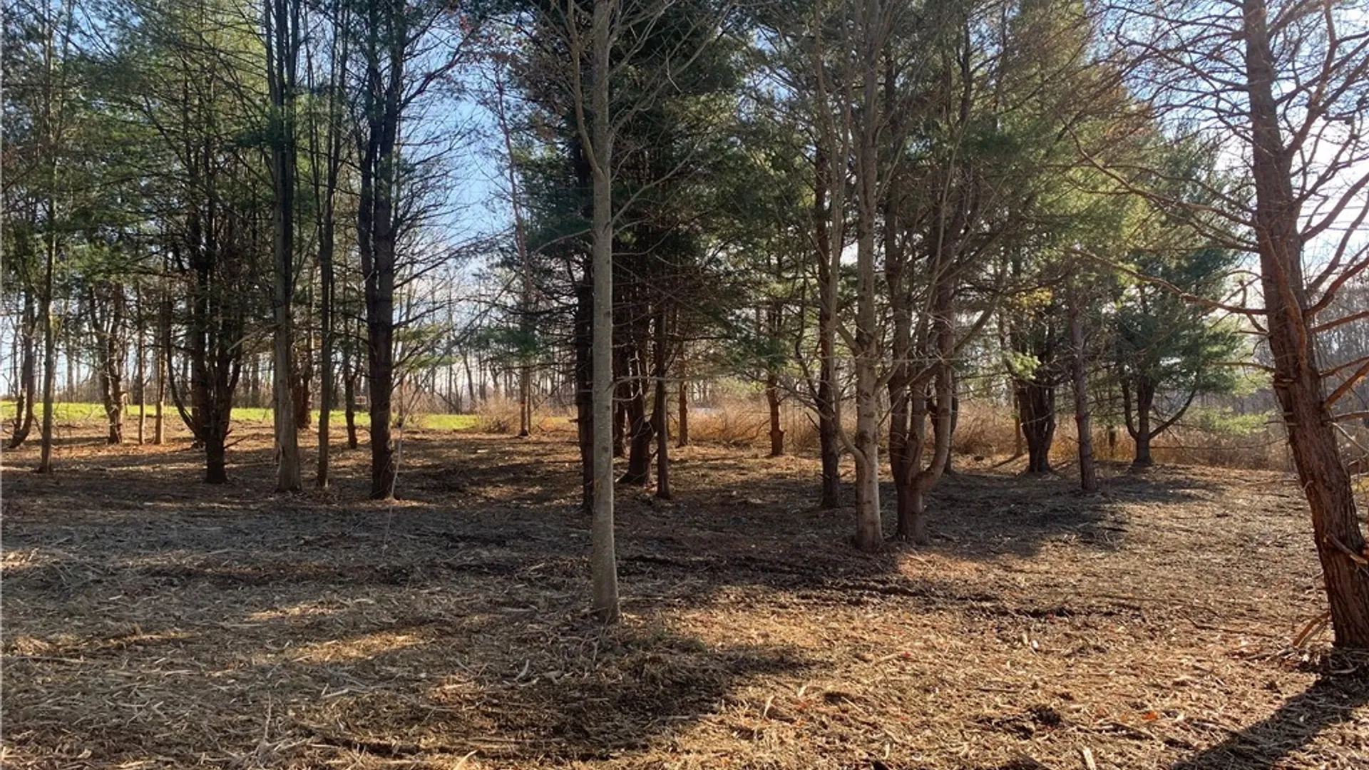 Property at 9164 Gowanda State Road, Eden, NY 14057 6