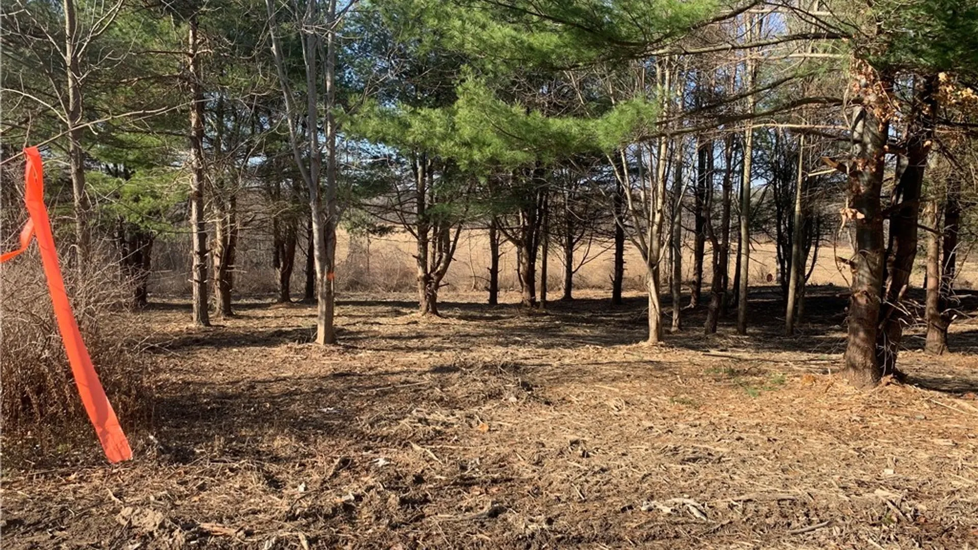 Property at 9164 Gowanda State Road, Eden, NY 14057 7