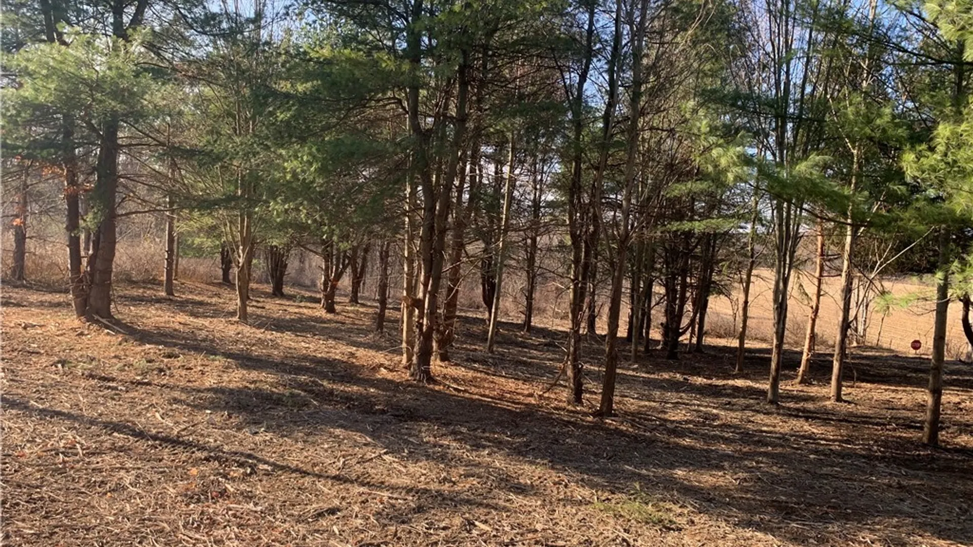 Property at 9164 Gowanda State Road, Eden, NY 14057 8