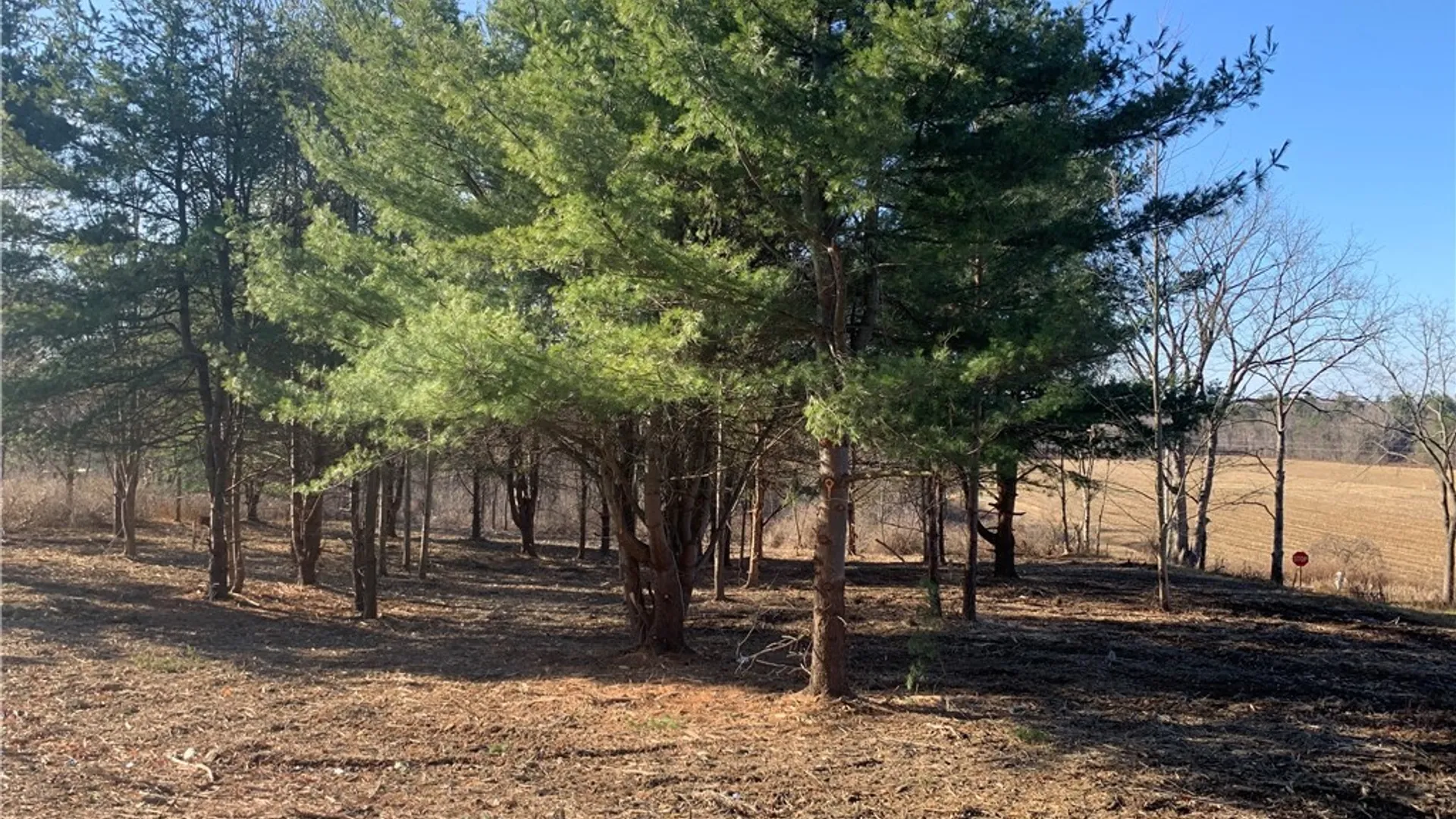 Property at 9164 Gowanda State Road, Eden, NY 14057 9