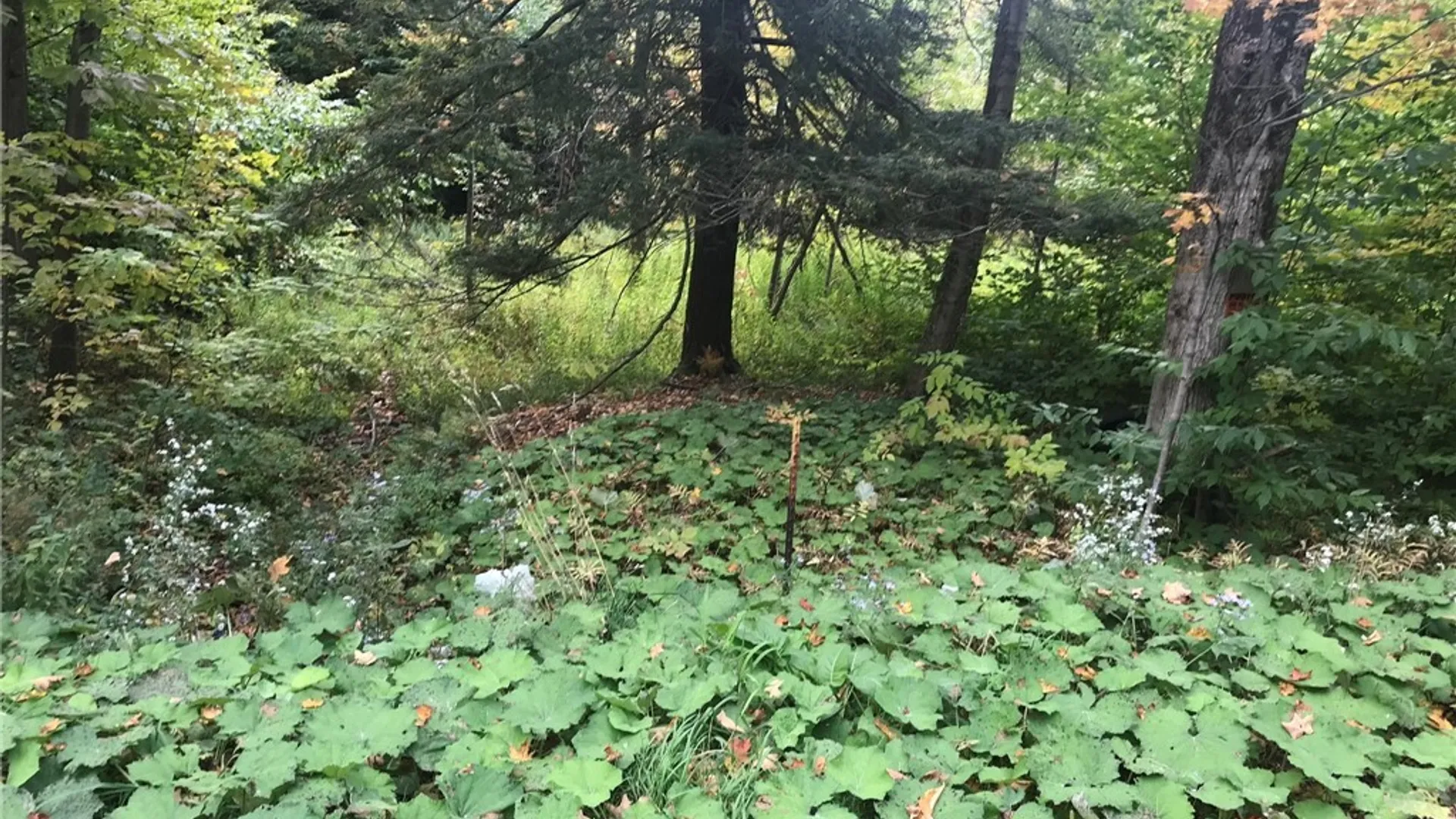 Property at 3436 Dunham Road, Orangeville, NY 14569 16