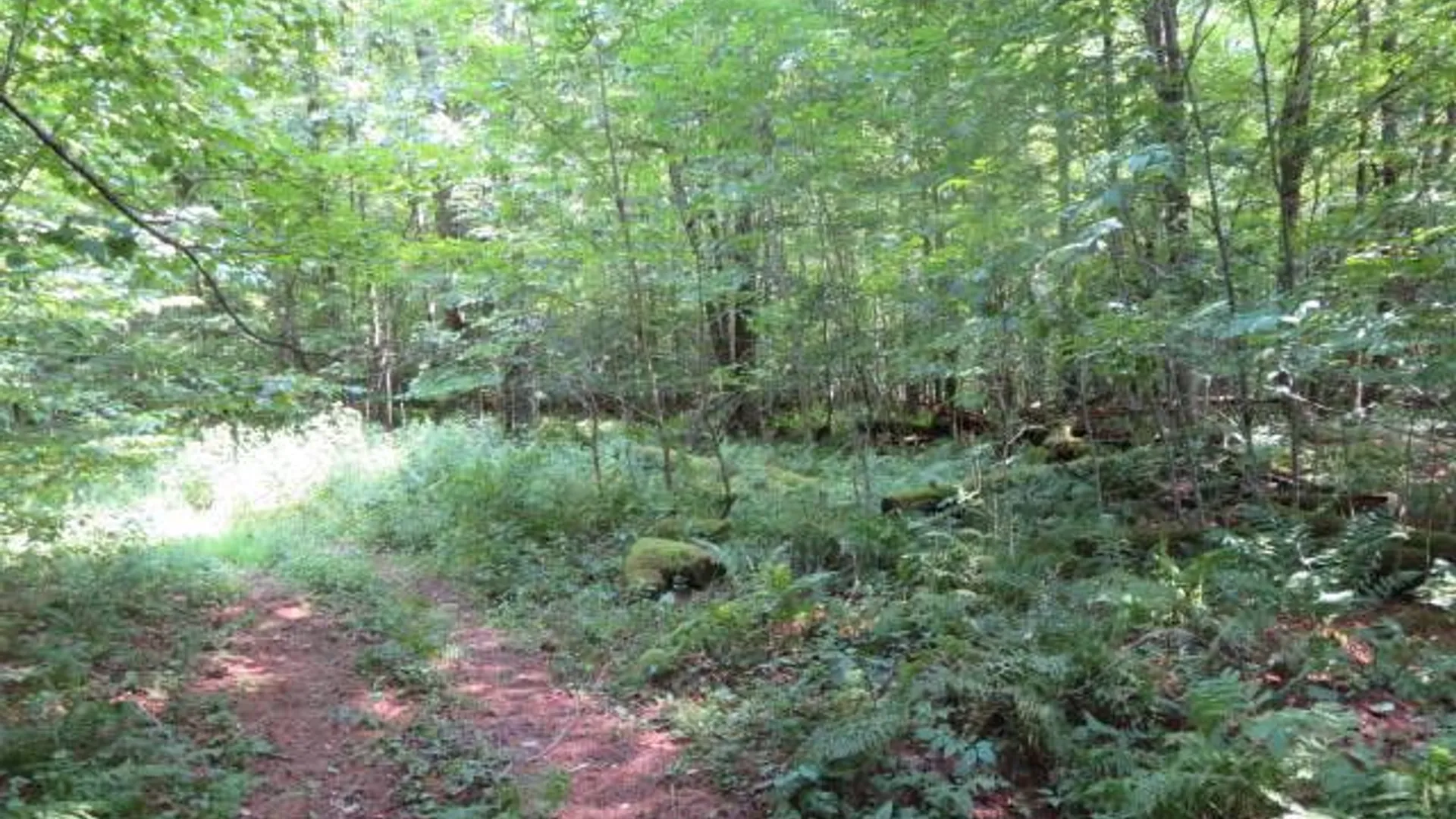 Property at 0 State Hwy 29, Ephratah, NY 12095 10