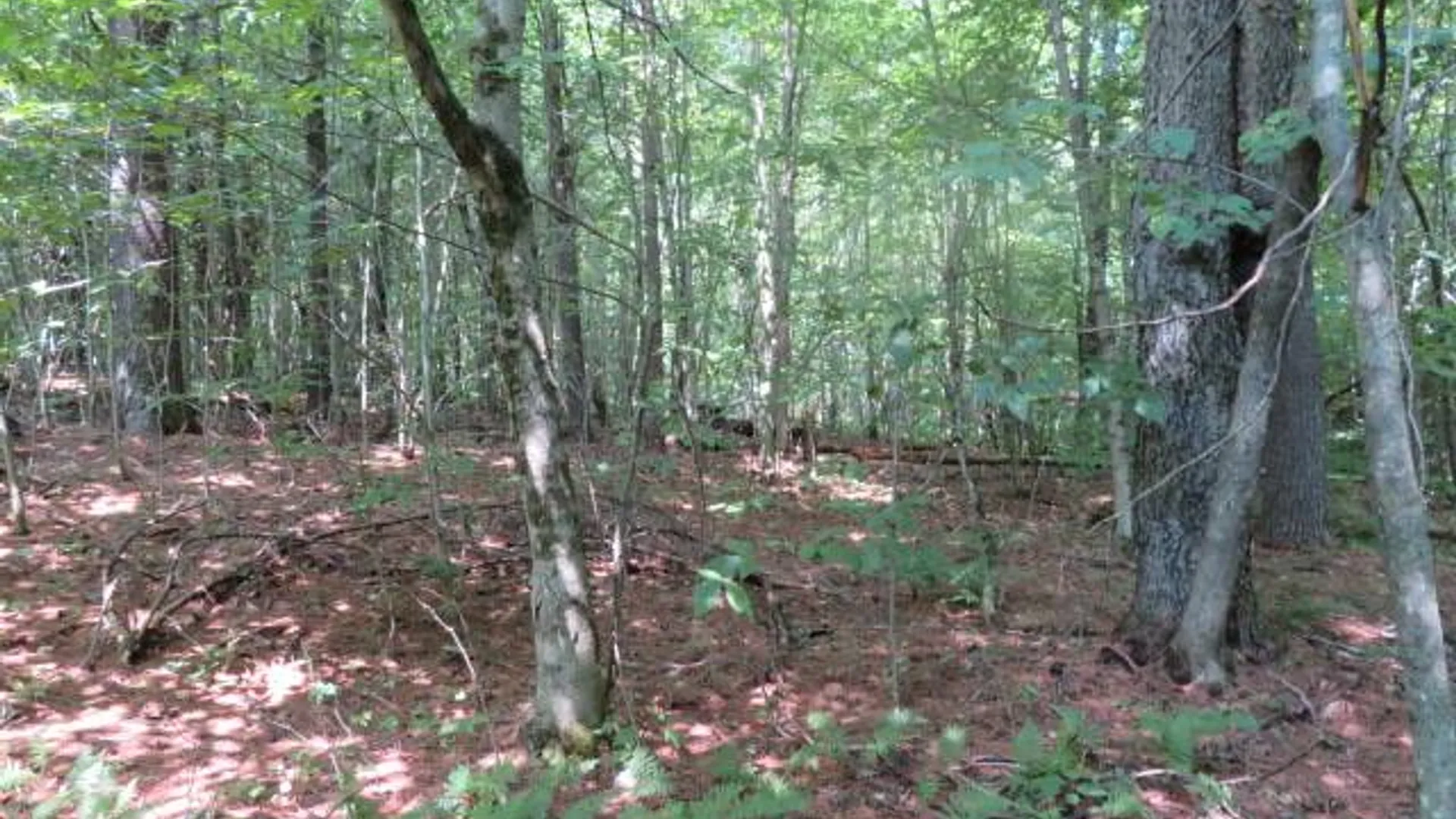 Property at 0 State Hwy 29, Ephratah, NY 12095 11