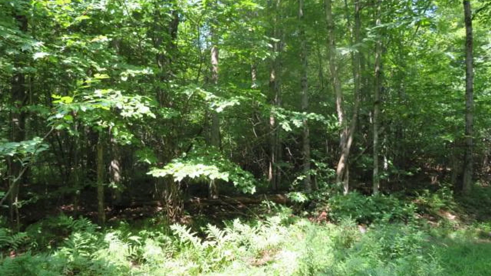 Property at 0 State Hwy 29, Ephratah, NY 12095 12