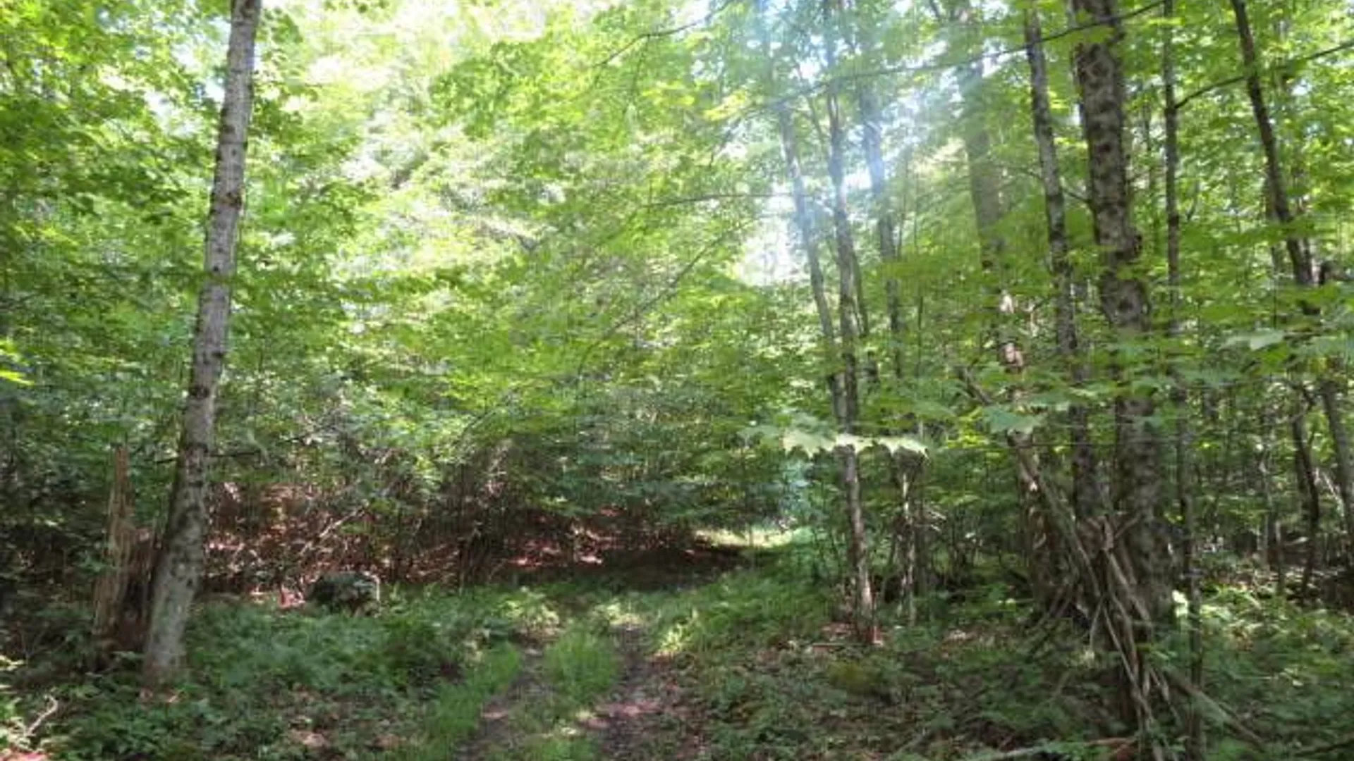 Property at 0 State Hwy 29, Ephratah, NY 12095 13