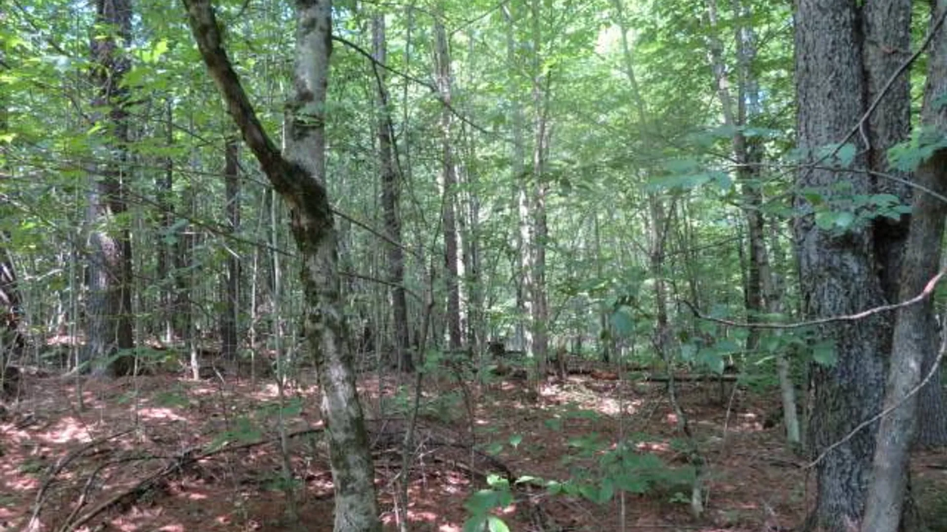 Property at 0 State Hwy 29, Ephratah, NY 12095 14