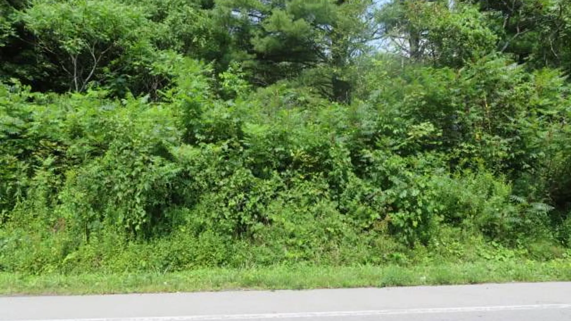 Property at 0 State Hwy 29, Ephratah, NY 12095 15