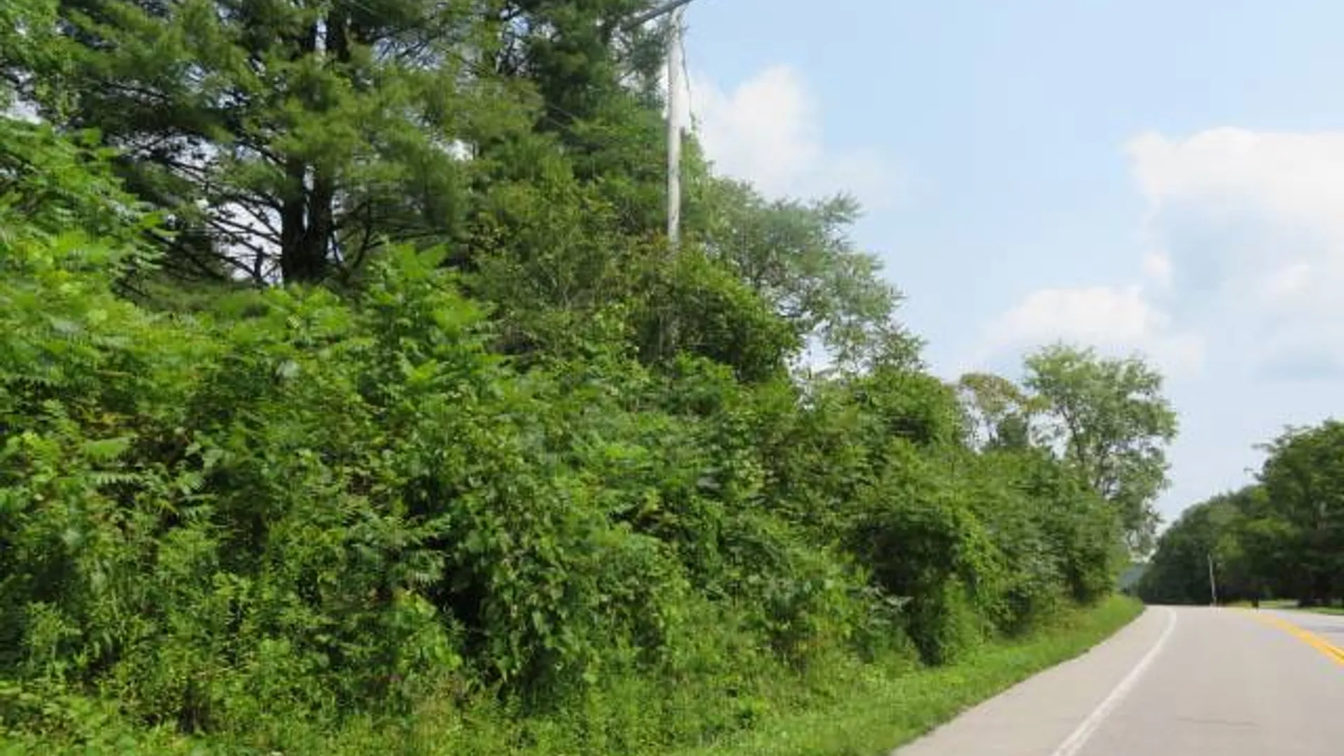 Property at 0 State Hwy 29, Ephratah, NY 12095 17