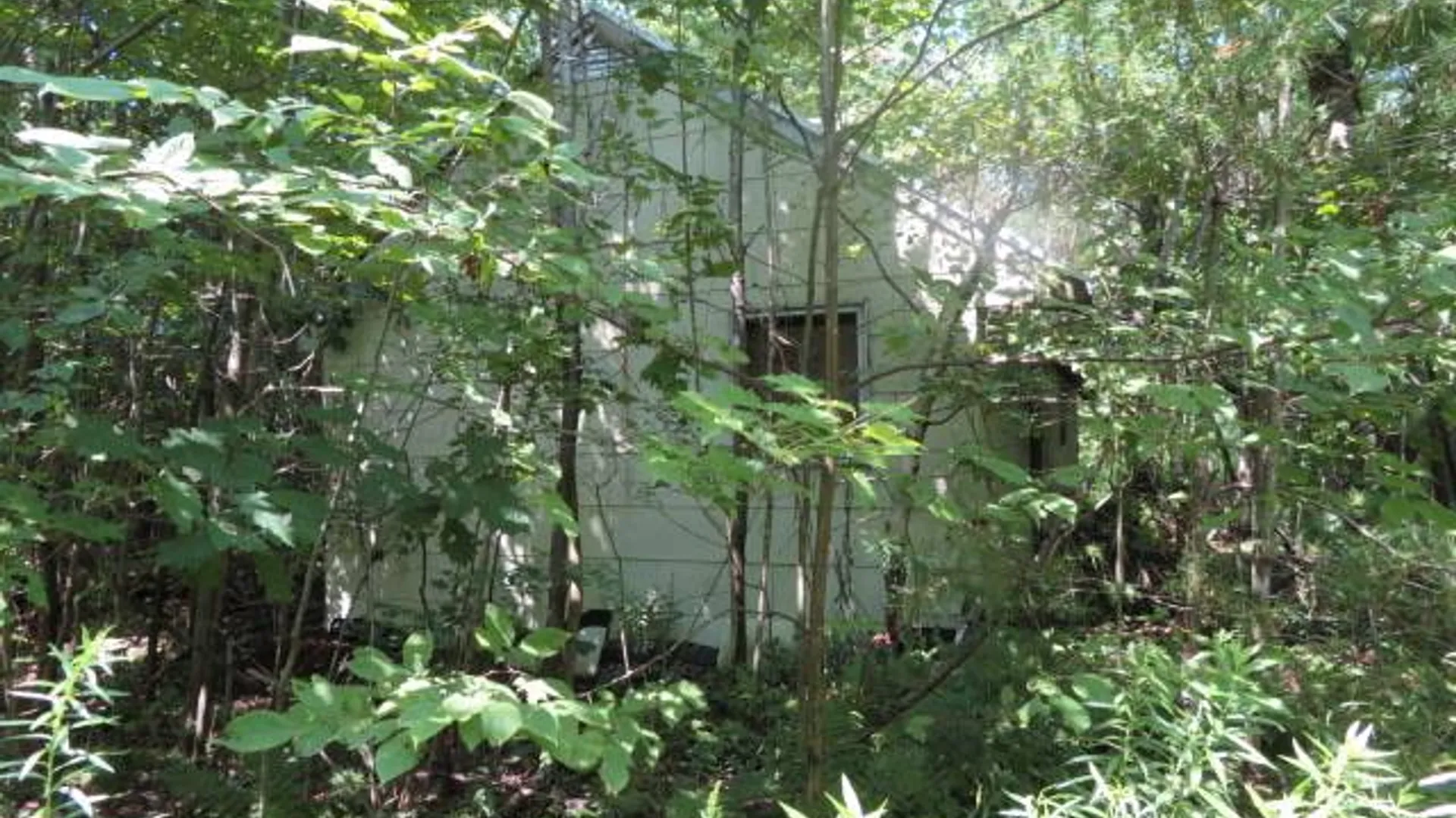 Property at 0 State Hwy 29, Ephratah, NY 12095 18