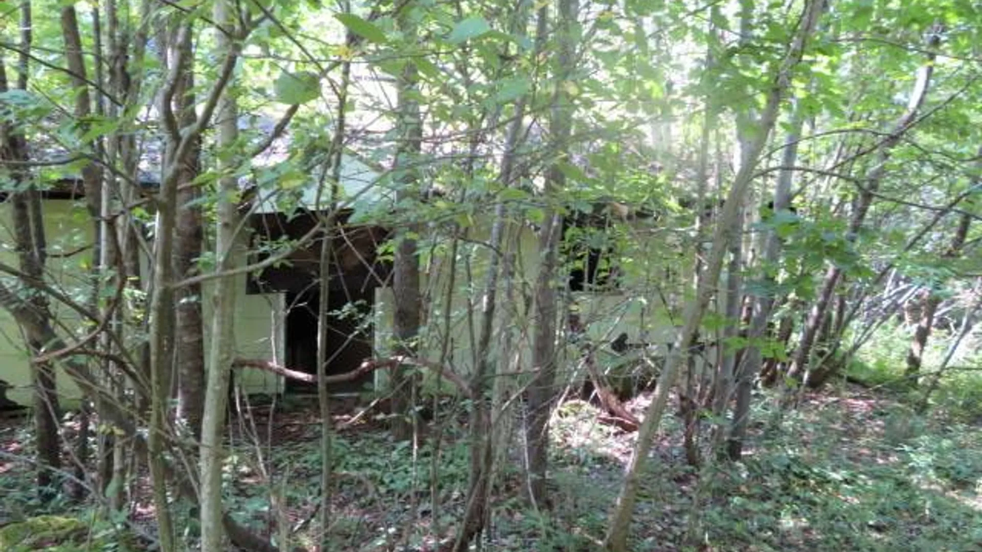 Property at 0 State Hwy 29, Ephratah, NY 12095 19