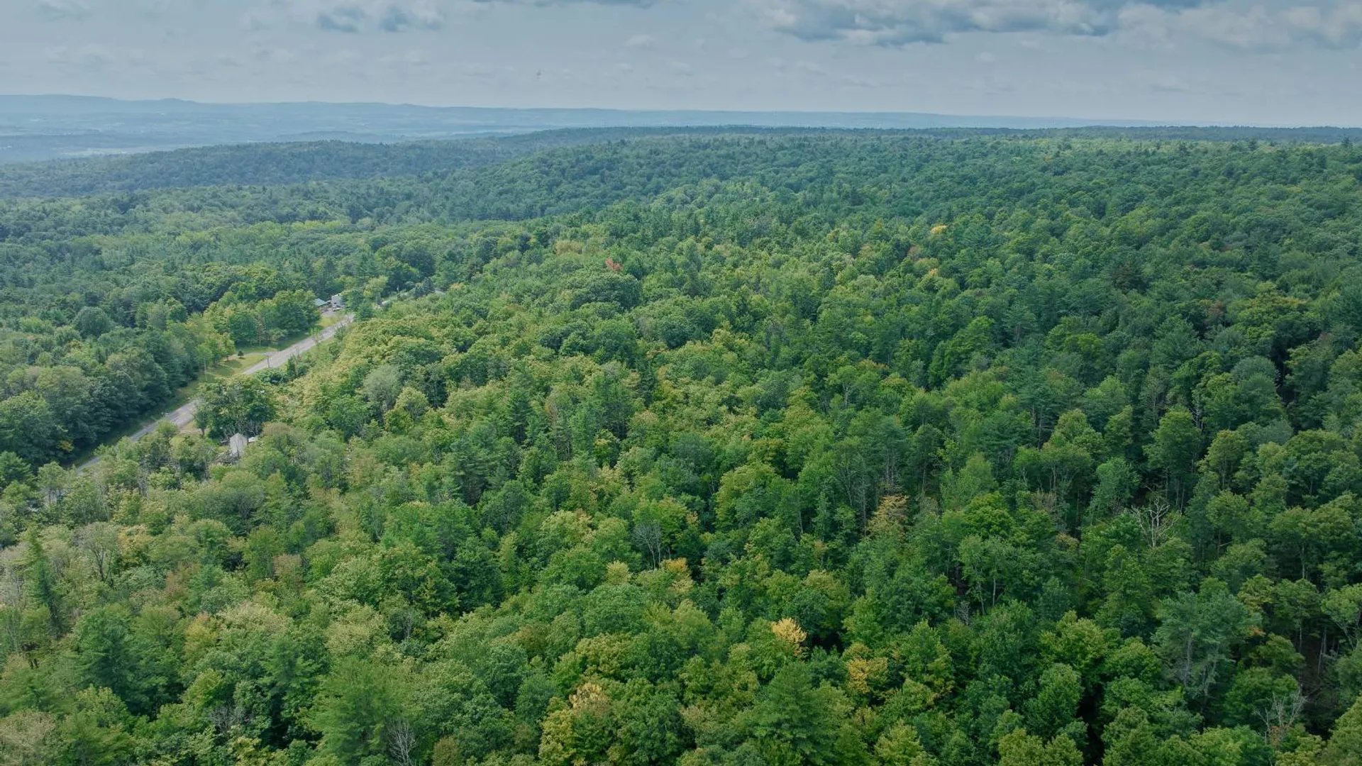 Property at 0 State Hwy 29, Ephratah, NY 12095 4