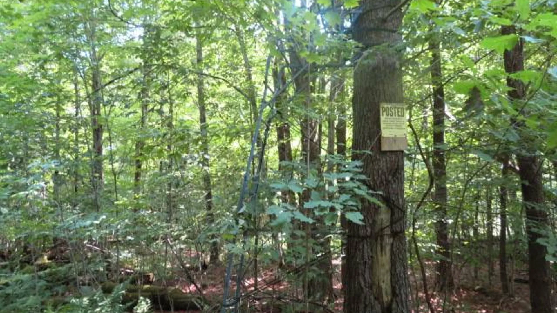 Property at 0 State Hwy 29, Ephratah, NY 12095 9