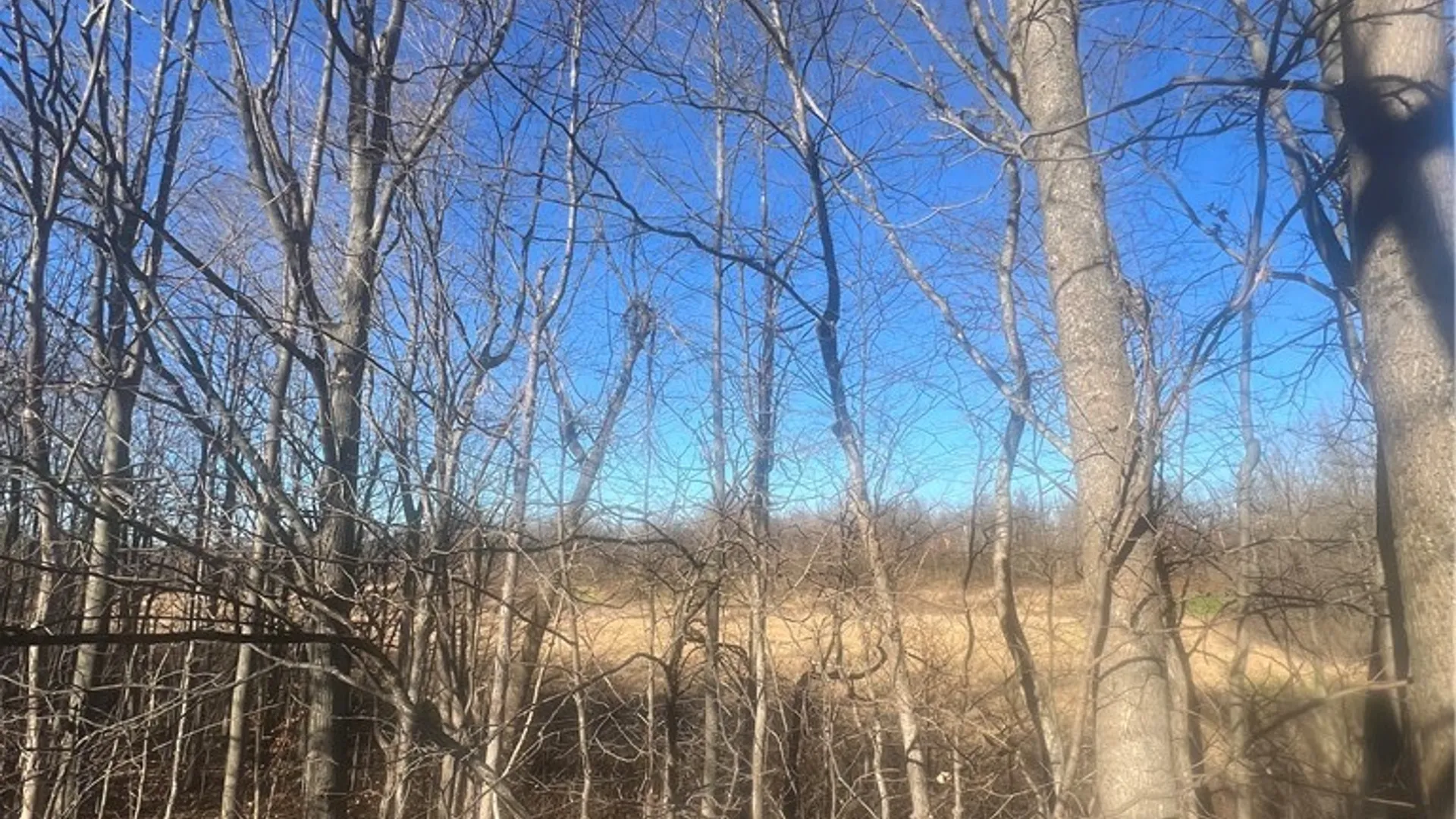 Property at 41033 US Route 11, Antwerp, NY 13608 12