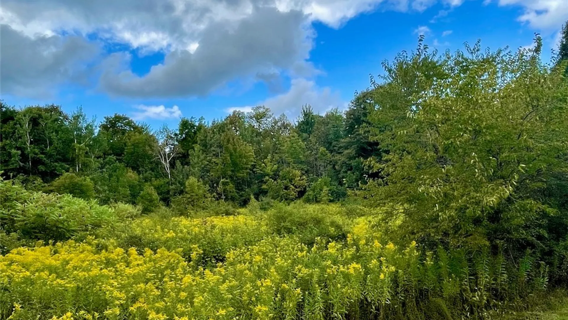 Property at Maiden Lane Road, Scriba, NY 13126 2