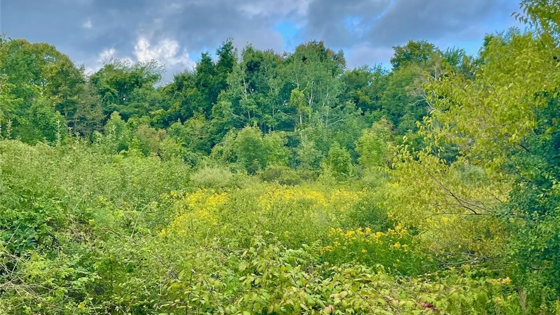 Property at Maiden Lane Road, Scriba, NY 13126 3