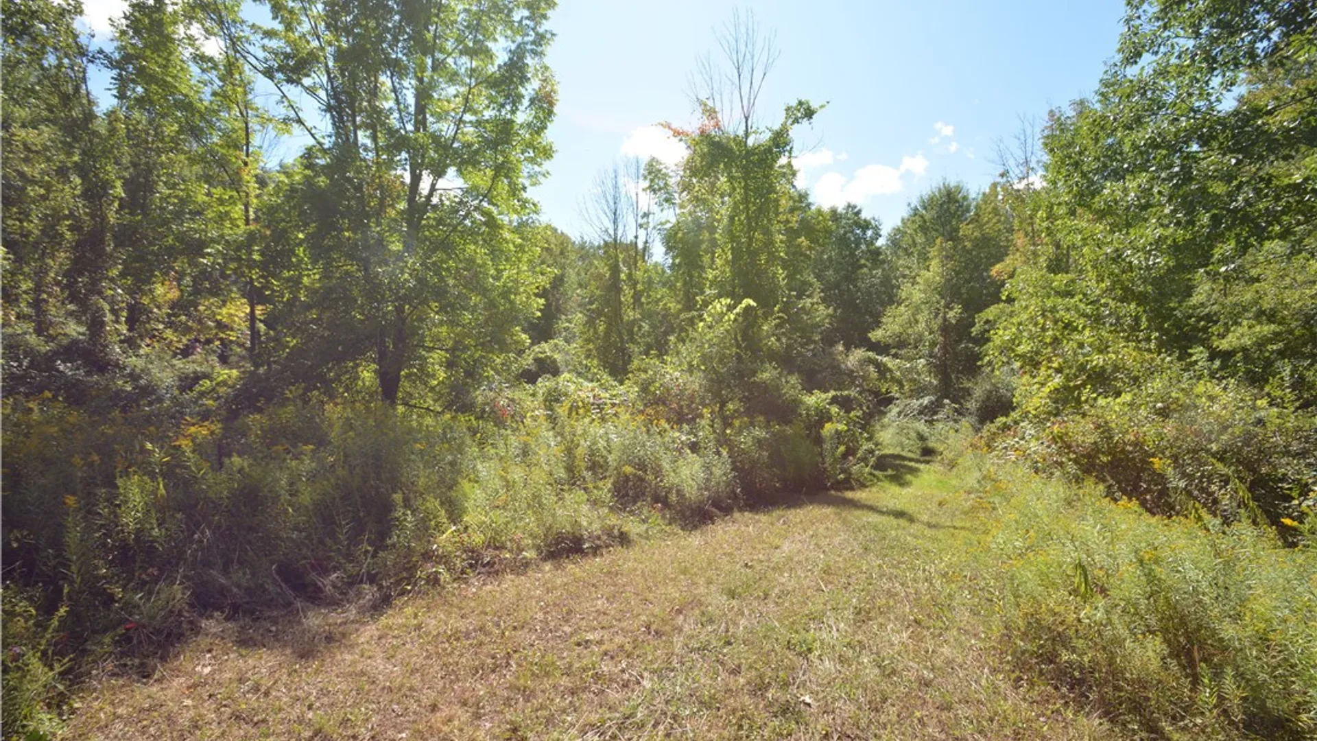 Property at 6495 Edson Road, Naples, NY 14512 3