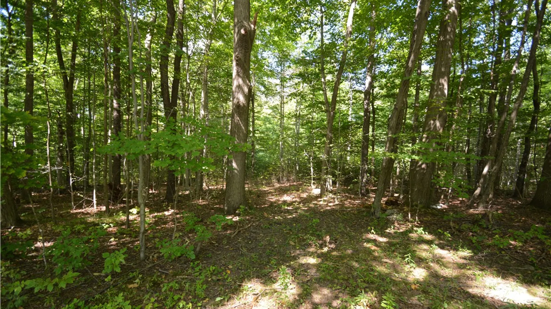 Property at 6495 Edson Road, Naples, NY 14512 4