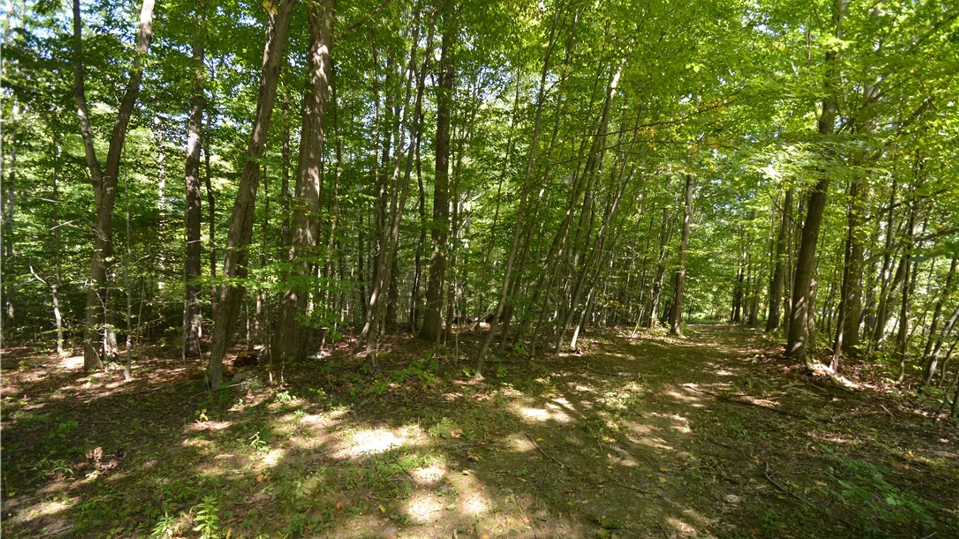 Property at 6495 Edson Road, Naples, NY 14512 5