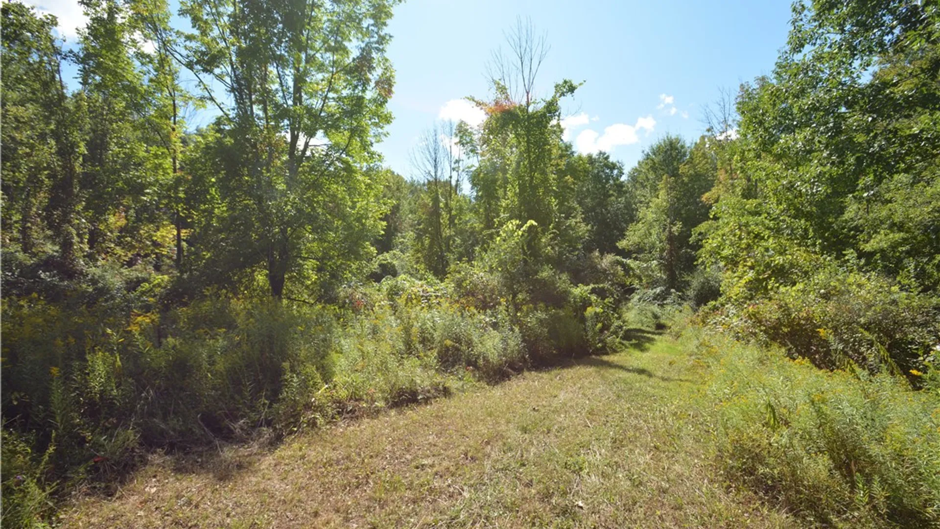 Property at 6495 Edson Road, Naples, NY 14512 6