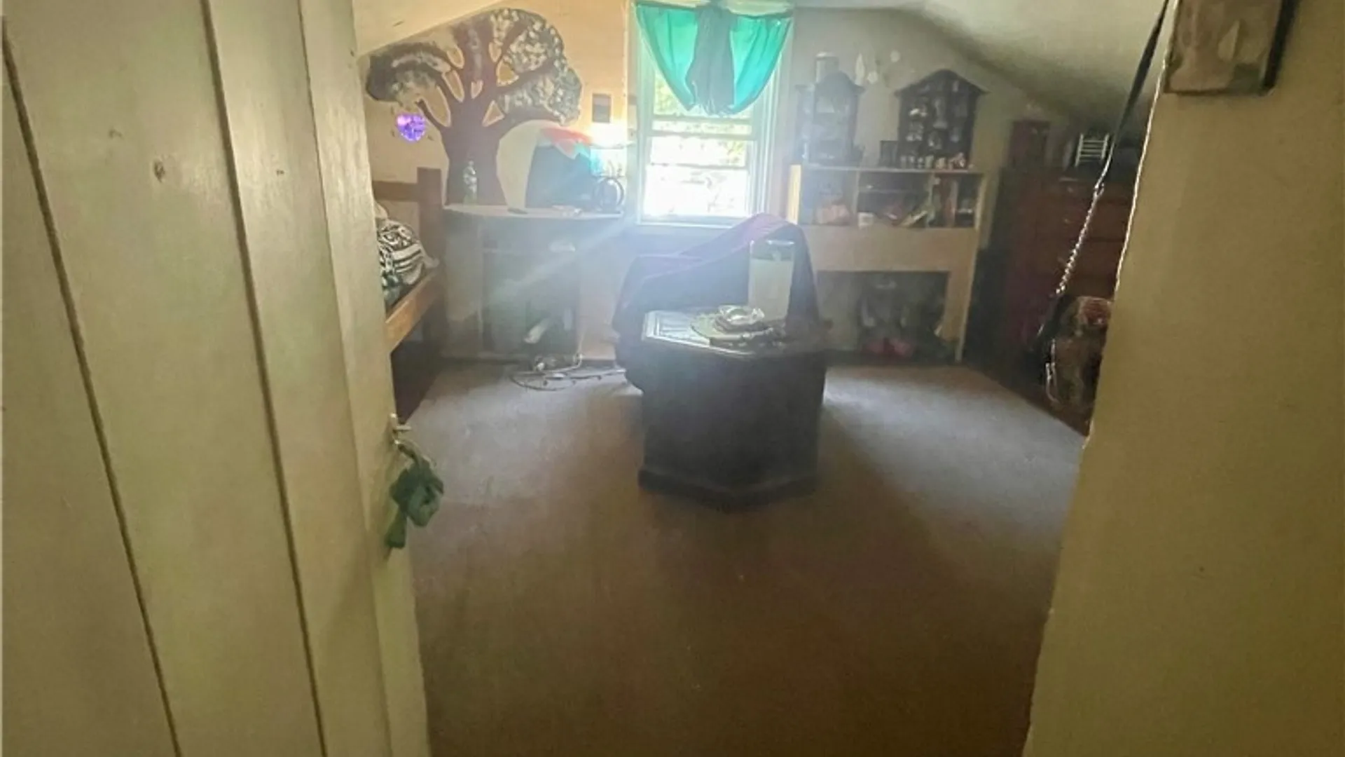 Property at 123 Williams Street, Waterloo, NY 13165 12