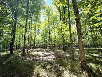 0 Cornell Hollow Road, Owego, NY 13732