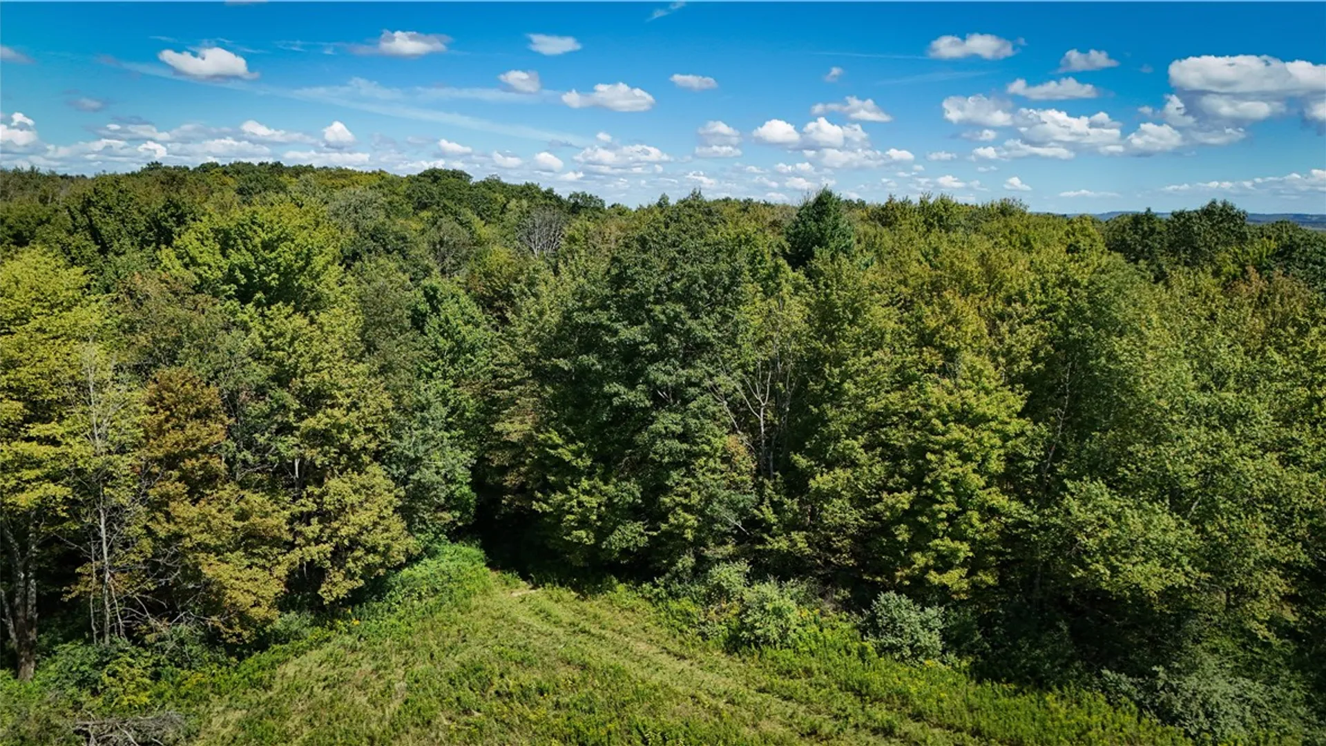 Property at 0 Cornell Hollow Road, Owego, NY 13732 2