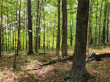 Property at Humphrey Road, Humphrey, NY 14741