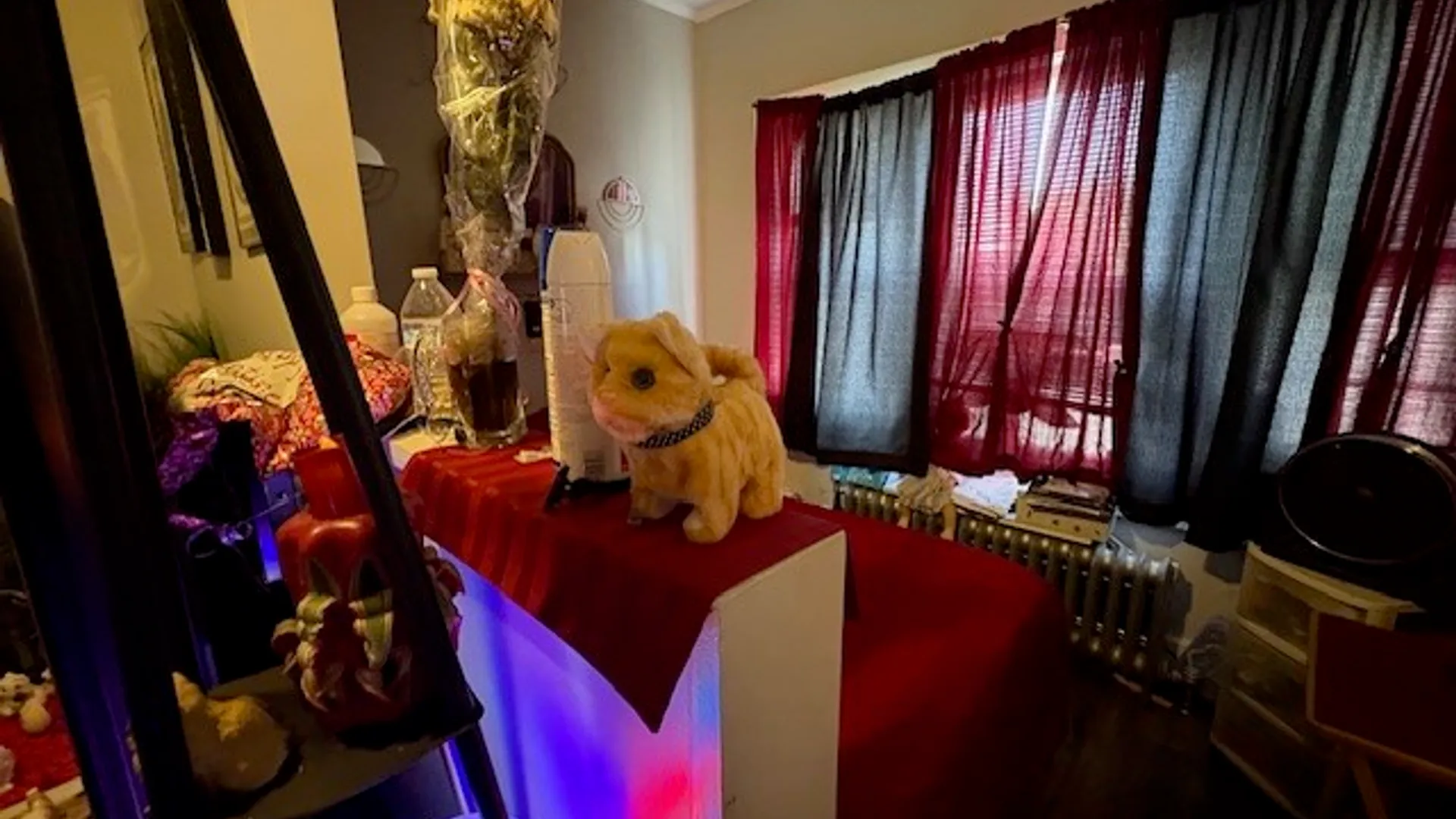 Property at 473 Goodman Street, Rochester, NY 14609 39