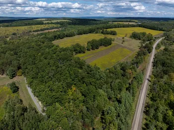 Property at 8015 Peacock Road, Bath, NY 14810