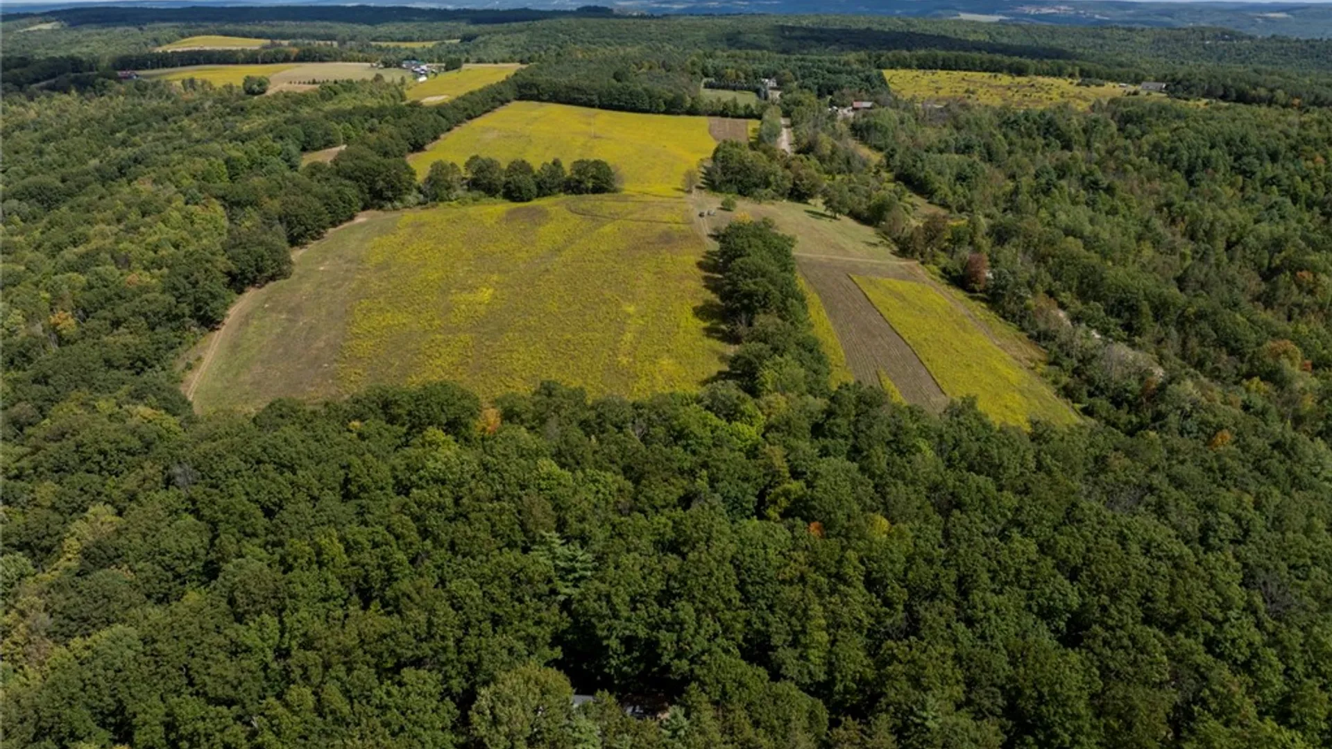 Property at 8015 Peacock Road, Bath, NY 14810 2